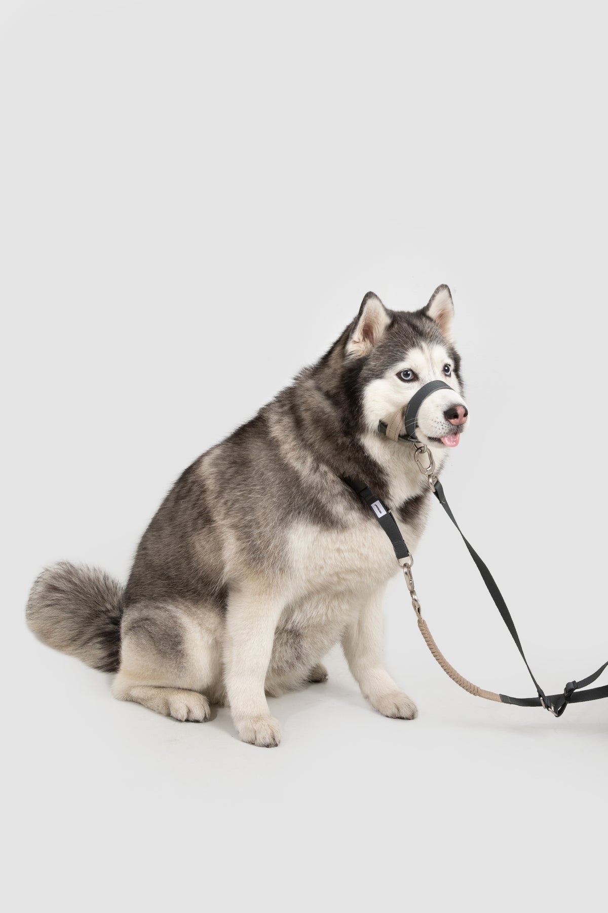 Valley Series – Multi-Functional Training Dog Muzzle