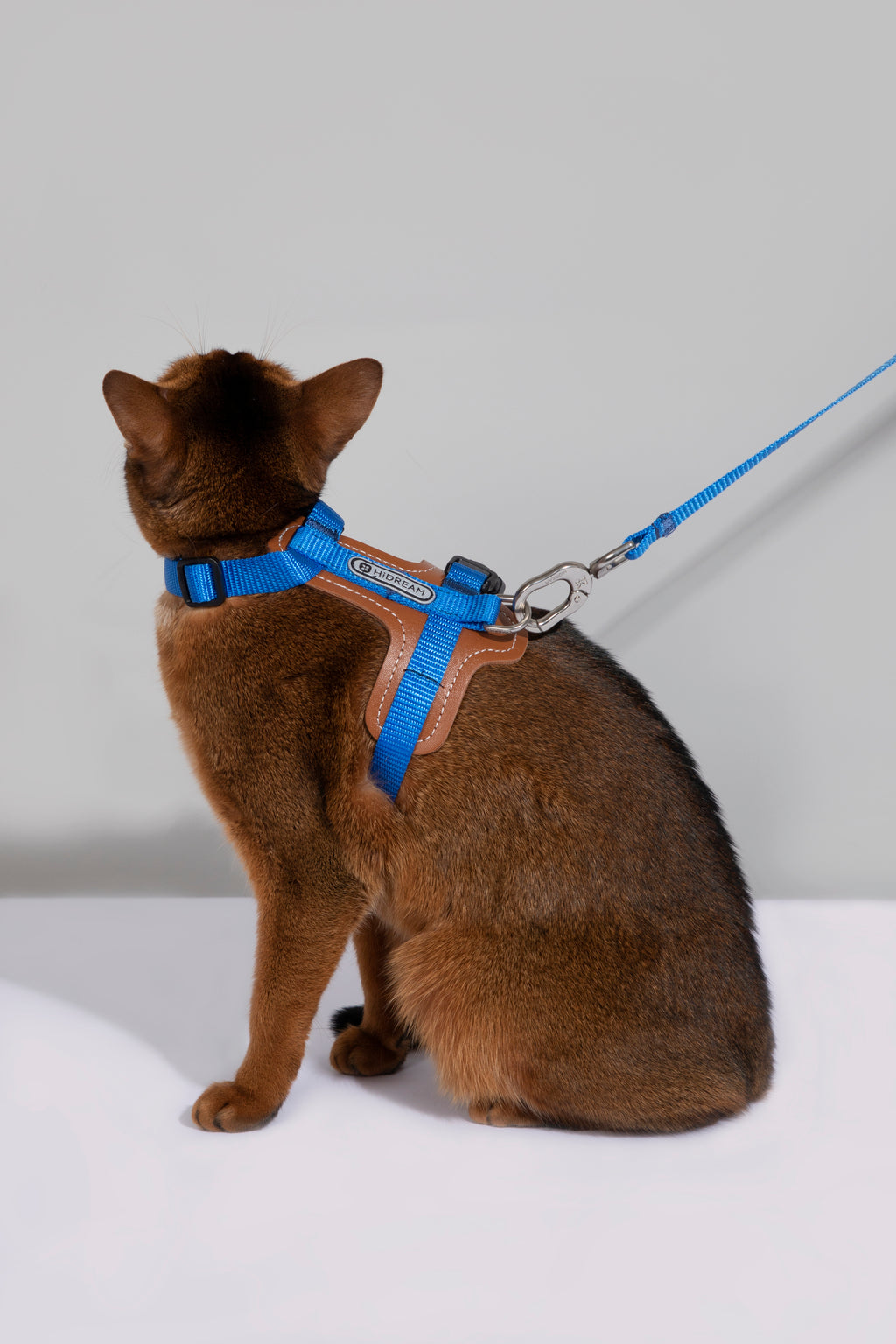 Artisan Leather Cat Harness and Leash Set