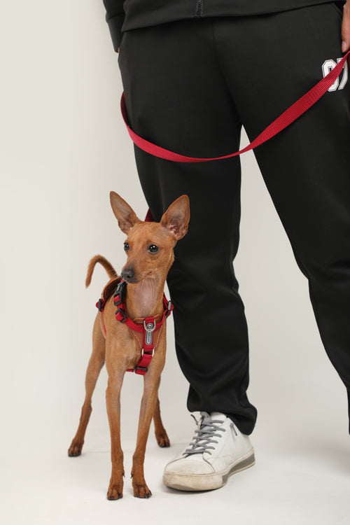 Bobo Series · I-Shaped Harness