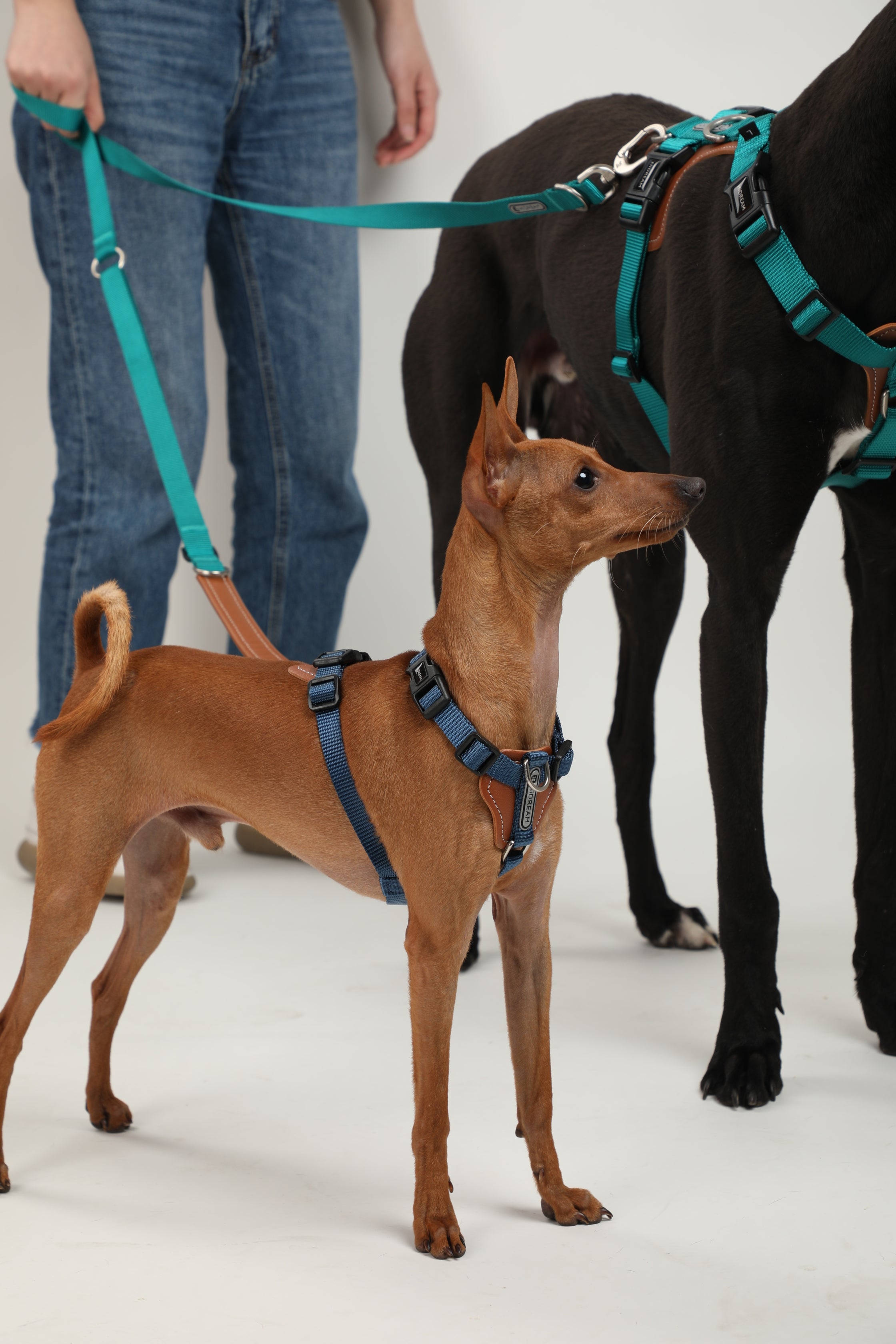 Bobo Series · I-Shaped Harness