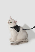 Valley Small Vest Cat Harness & Leash Set