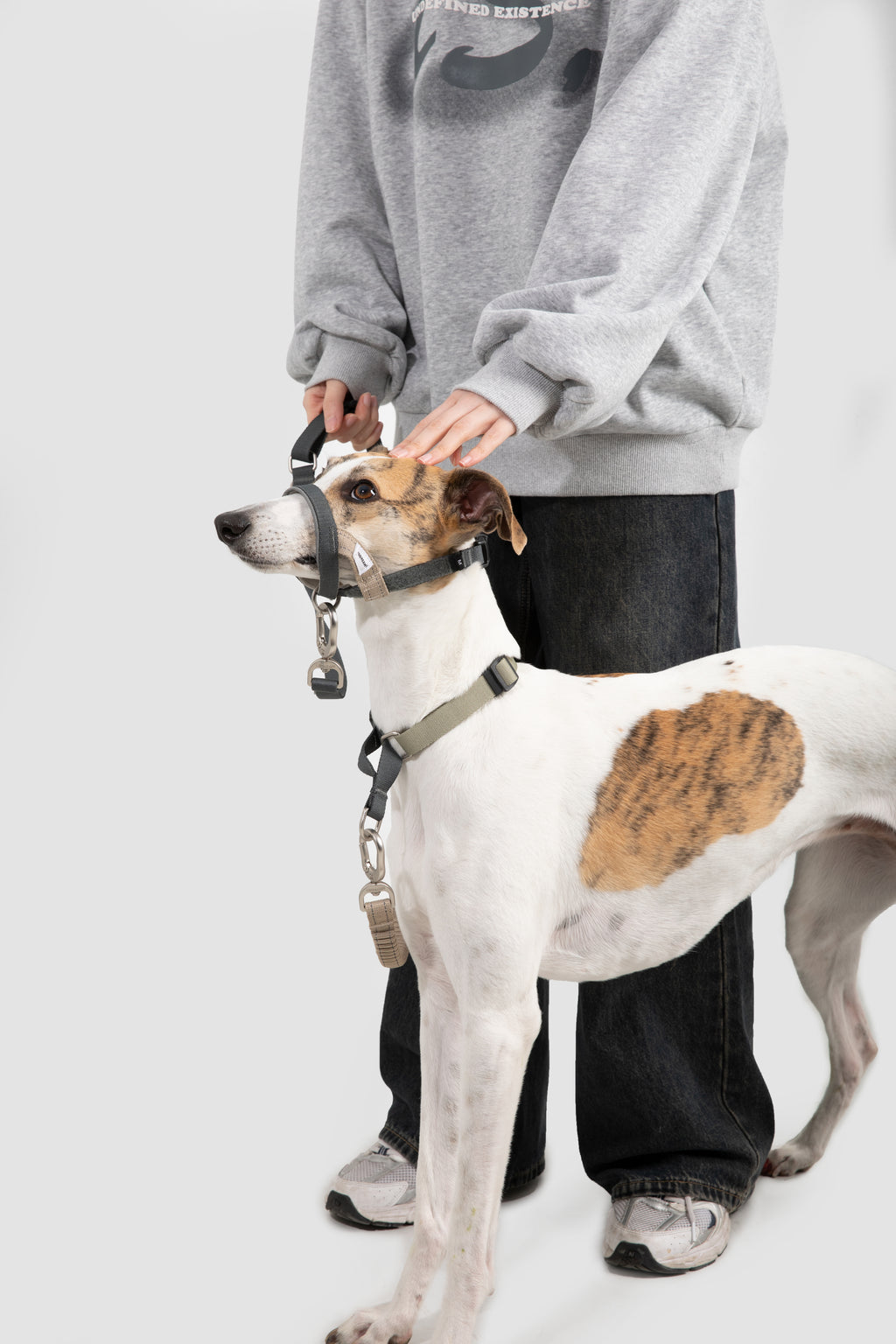 Valley Series – Multi-Functional Training Dog Muzzle