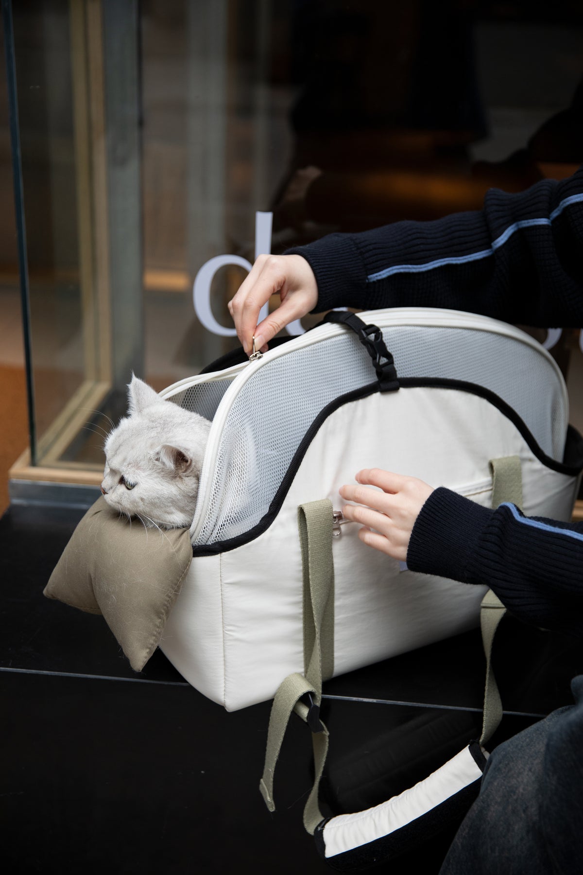 Walking Pet Shoulder Bag