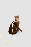 Color-Blocking Cat Harness & Leash Set