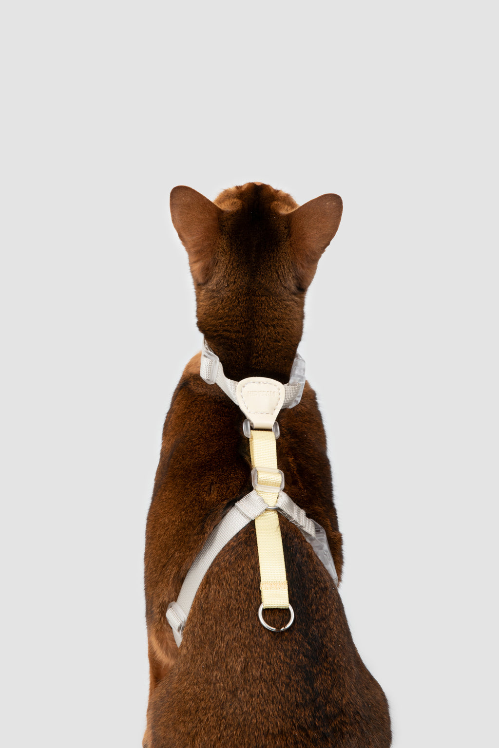 Color-Blocking Cat Harness & Leash Set
