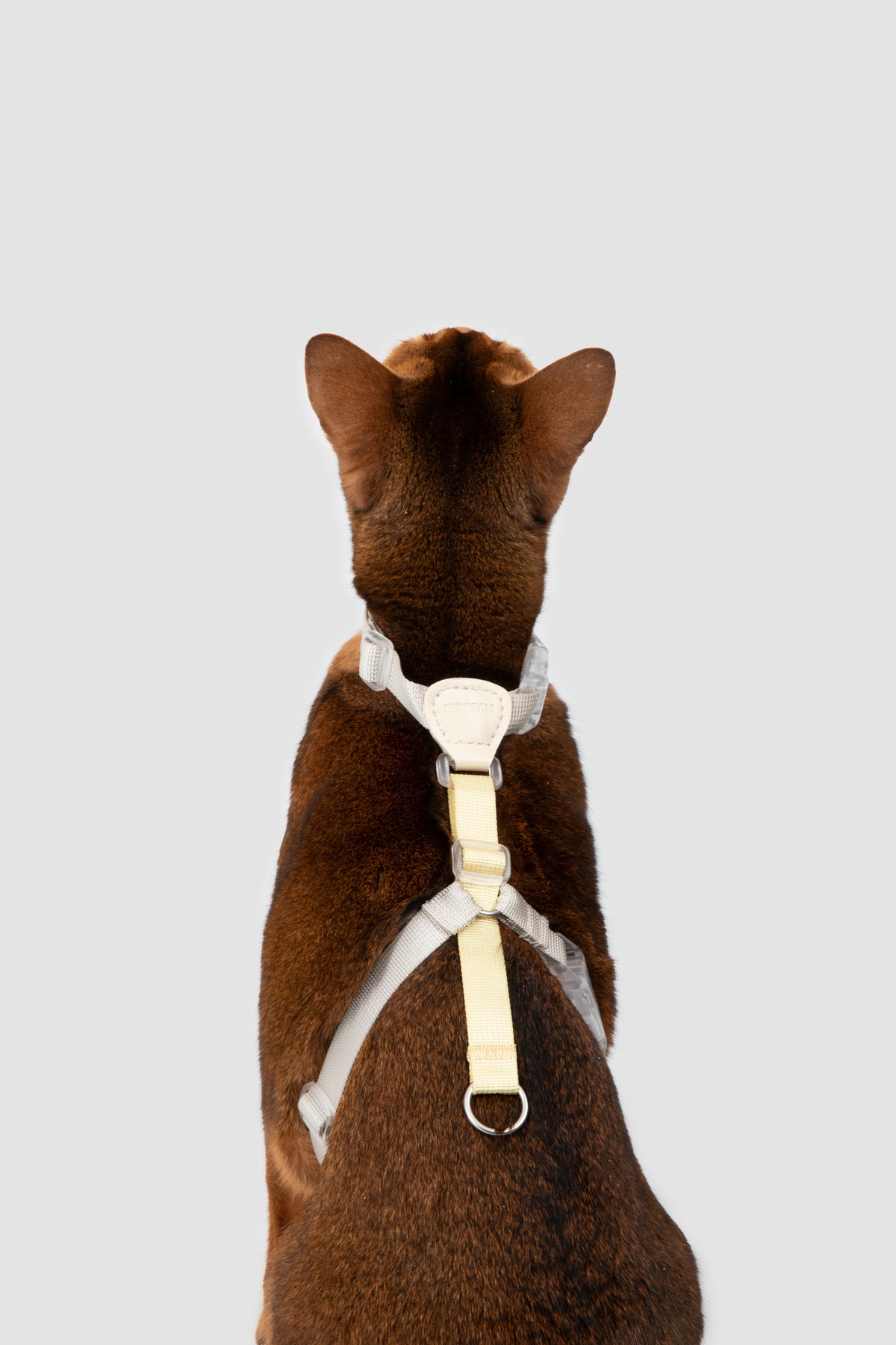 Color-Blocking Cat Harness & Leash Set