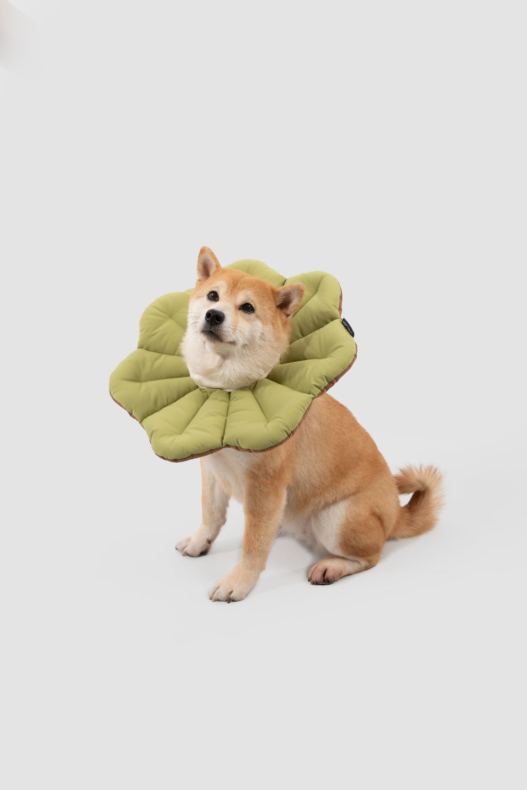 Petal Pet Elizabethan Collar