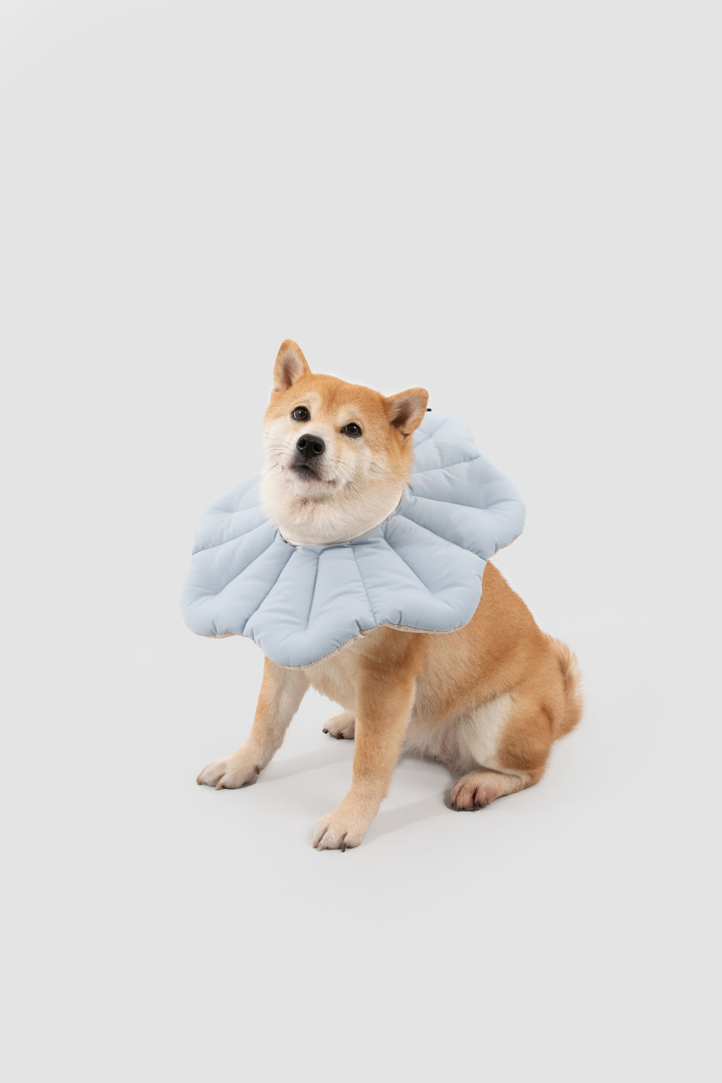 Petal Pet Elizabethan Collar