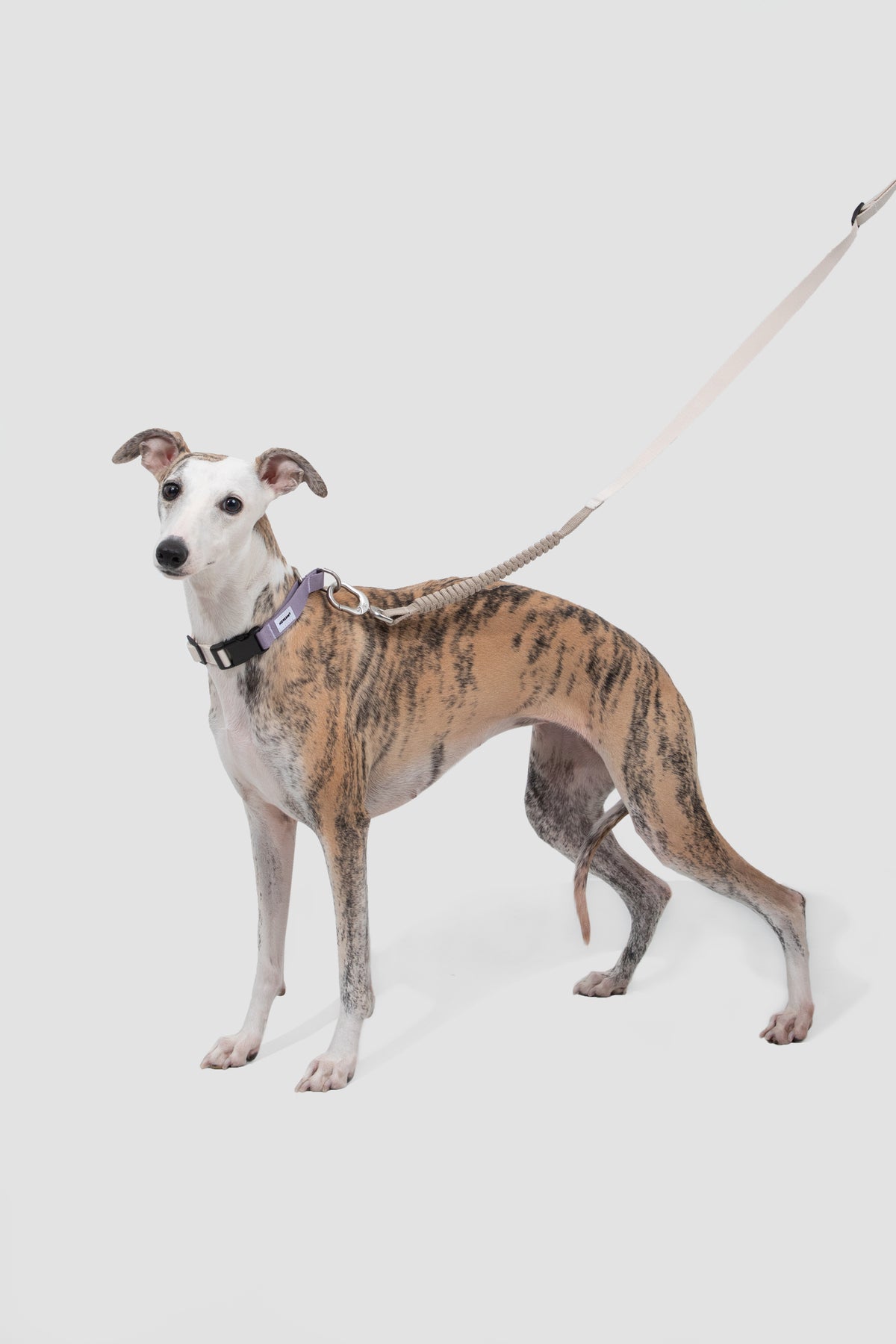 Valley Series · Multi-Functional Bungee Leash