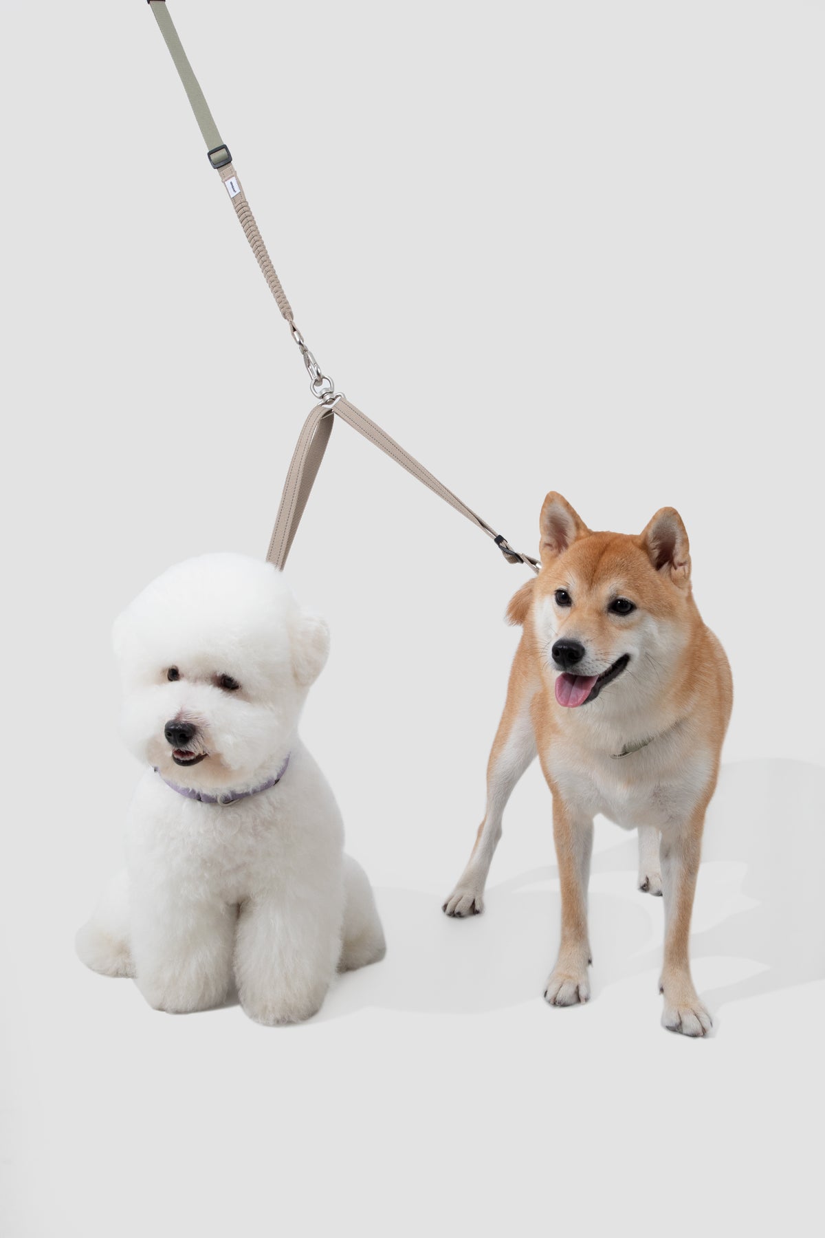 Valley Series · Multi-Functional Leash Accessories