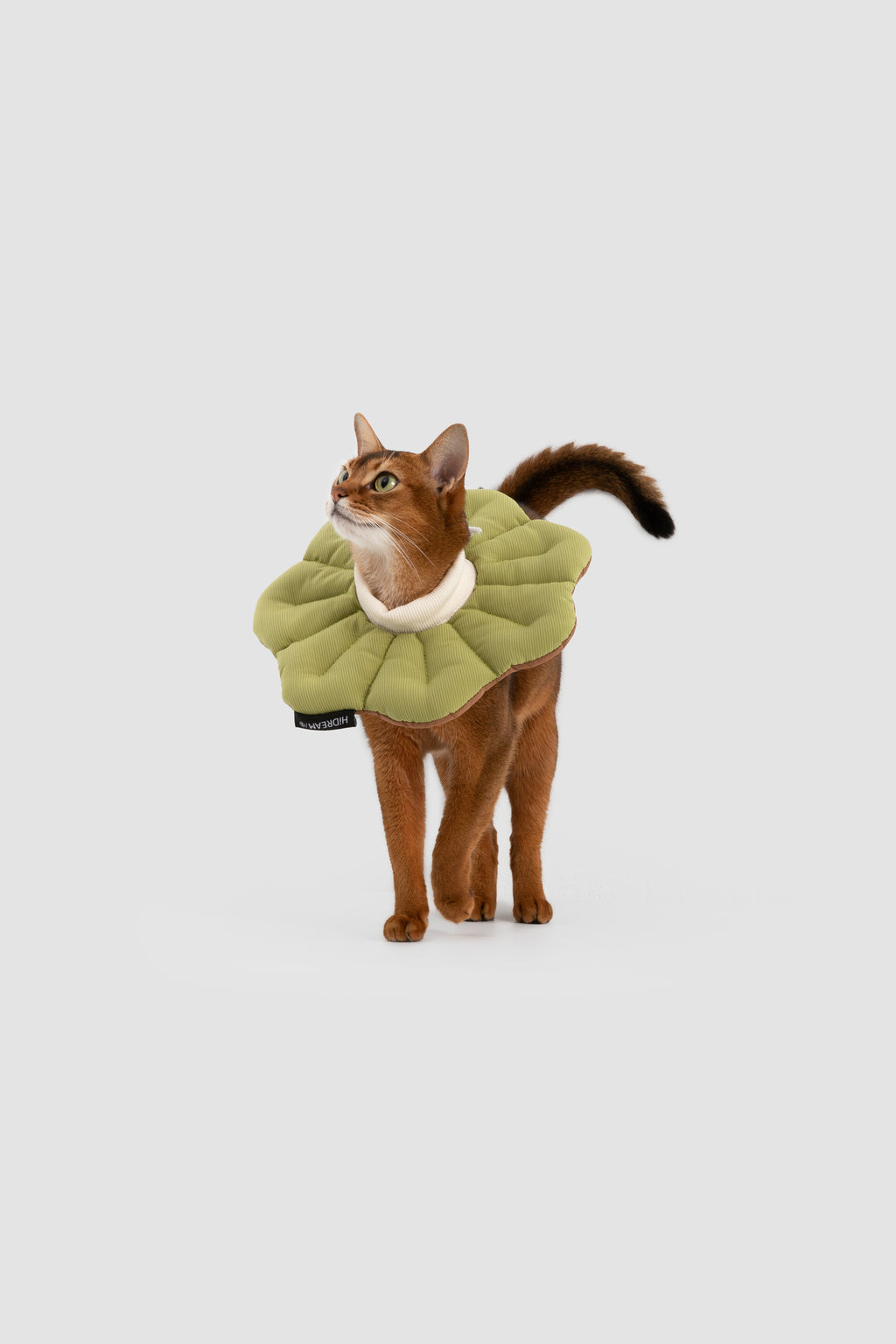 Petal Pet Elizabethan Collar