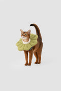 Petal Pet Elizabethan Collar