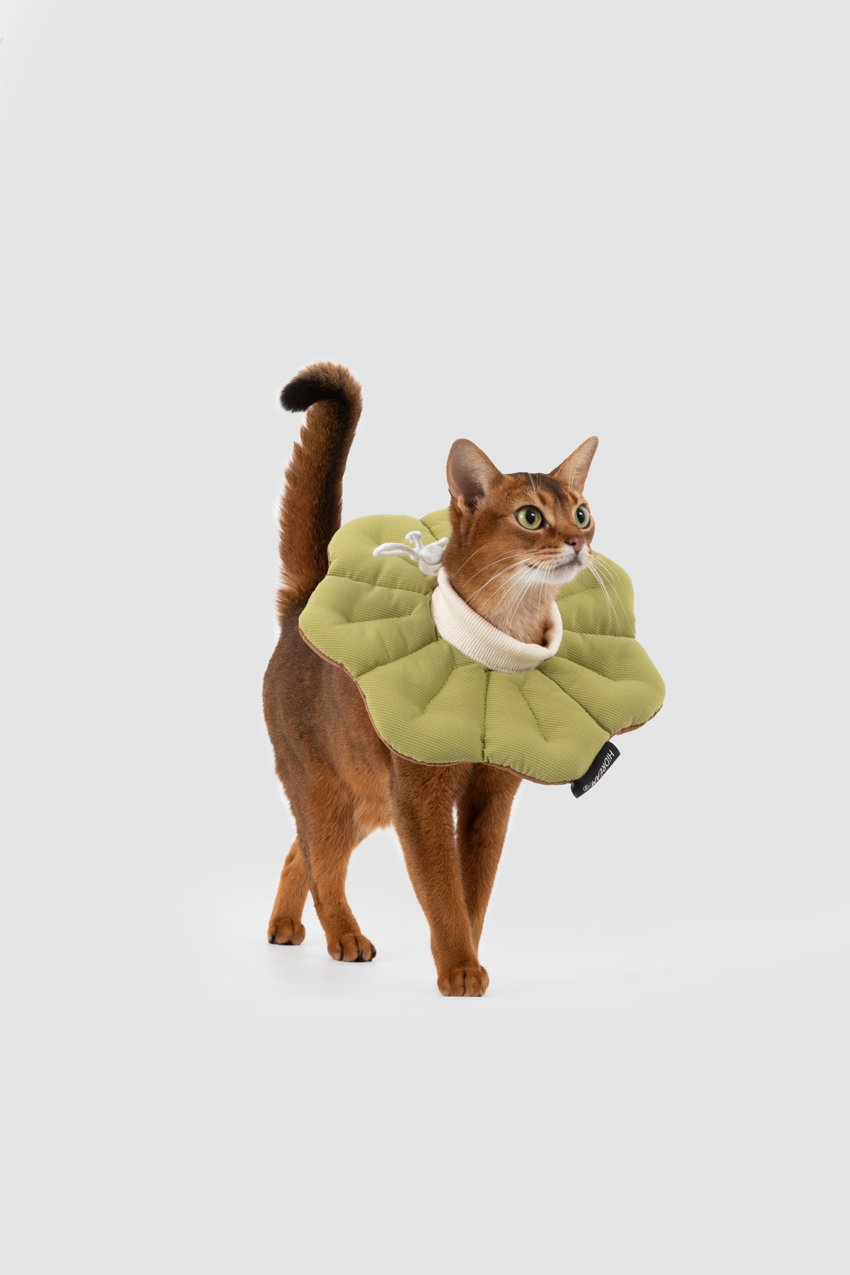 Petal Pet Elizabethan Collar