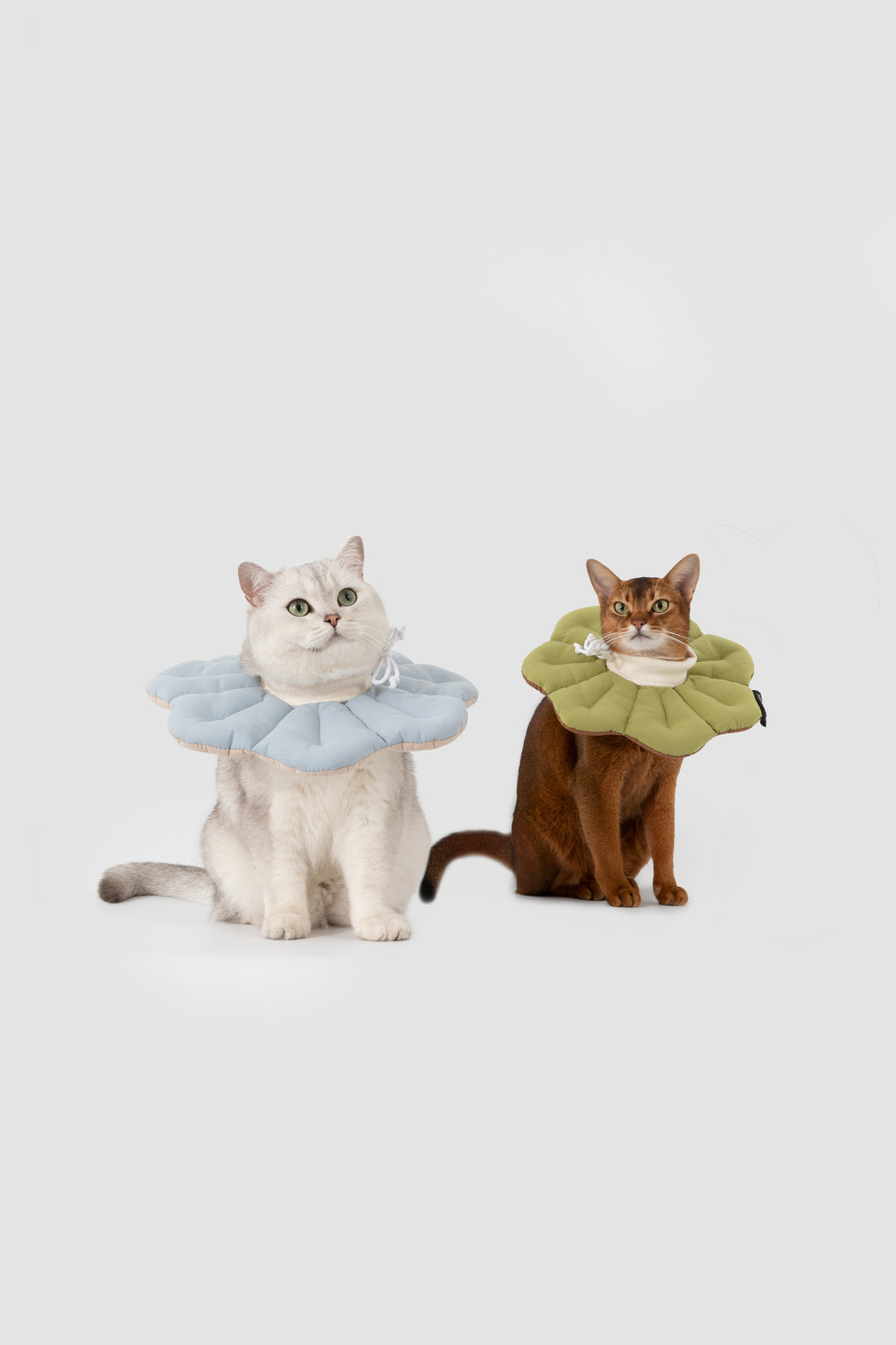 Petal Pet Elizabethan Collar