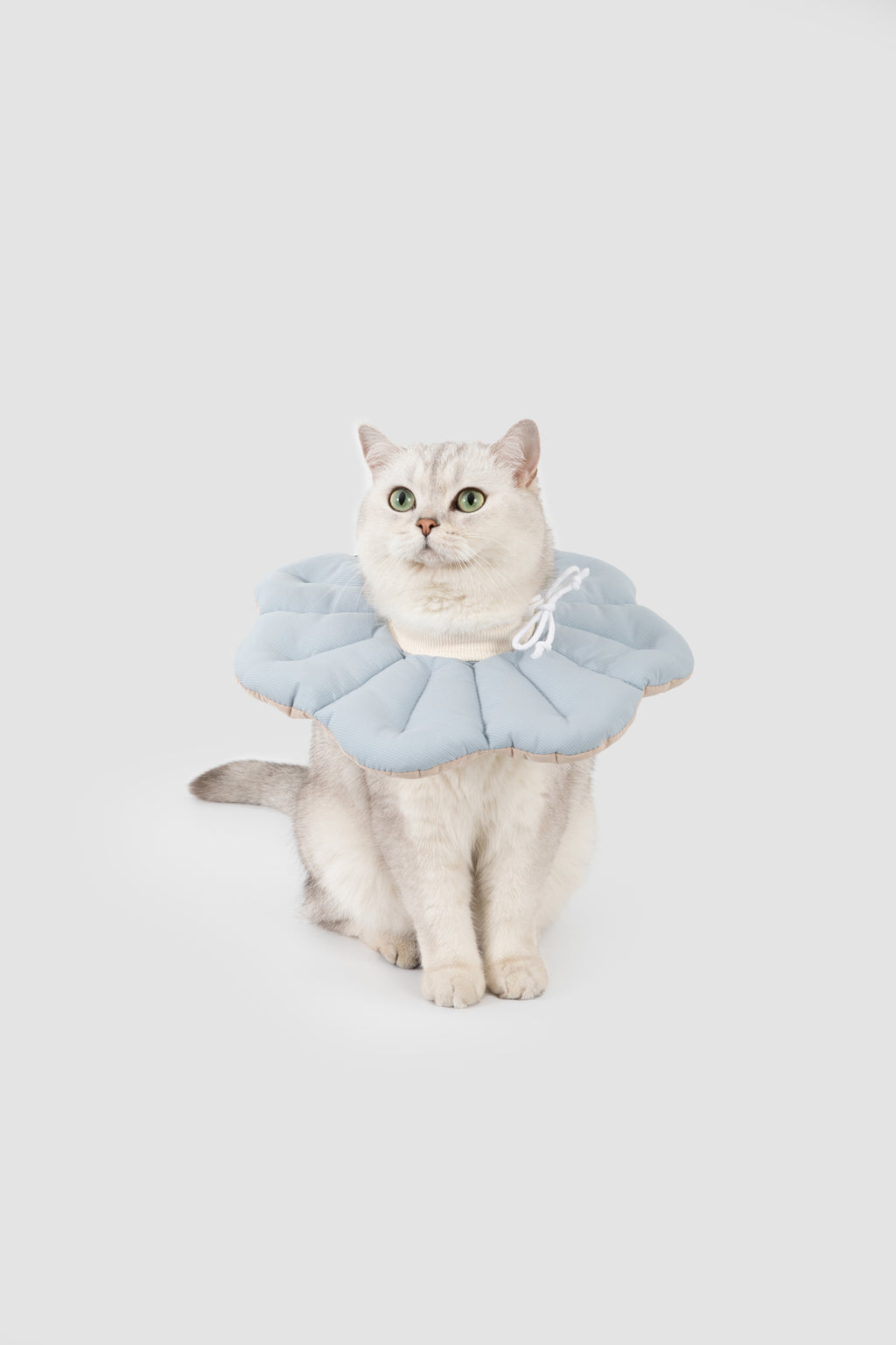 Petal Pet Elizabethan Collar
