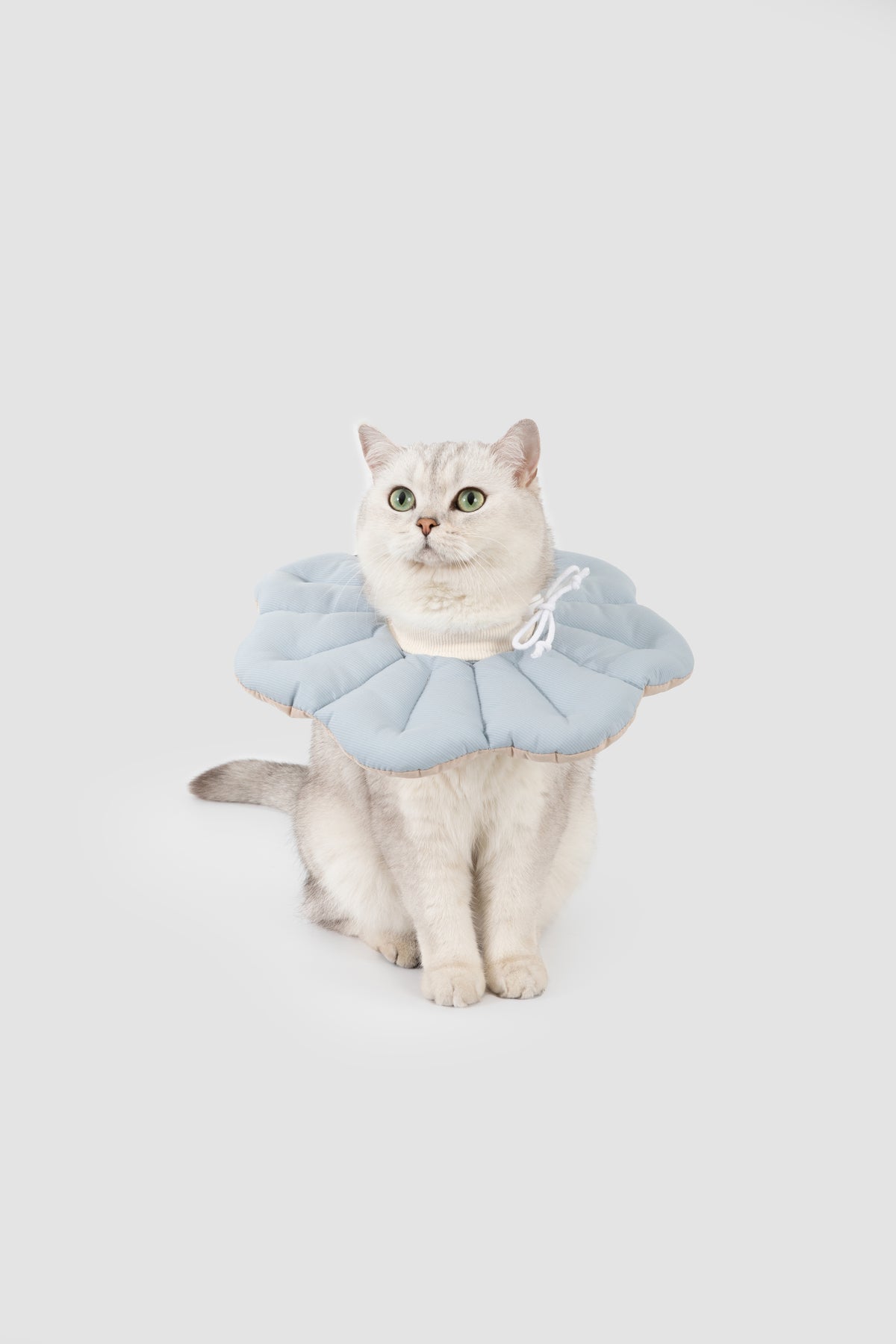 Petal Pet Elizabethan Collar