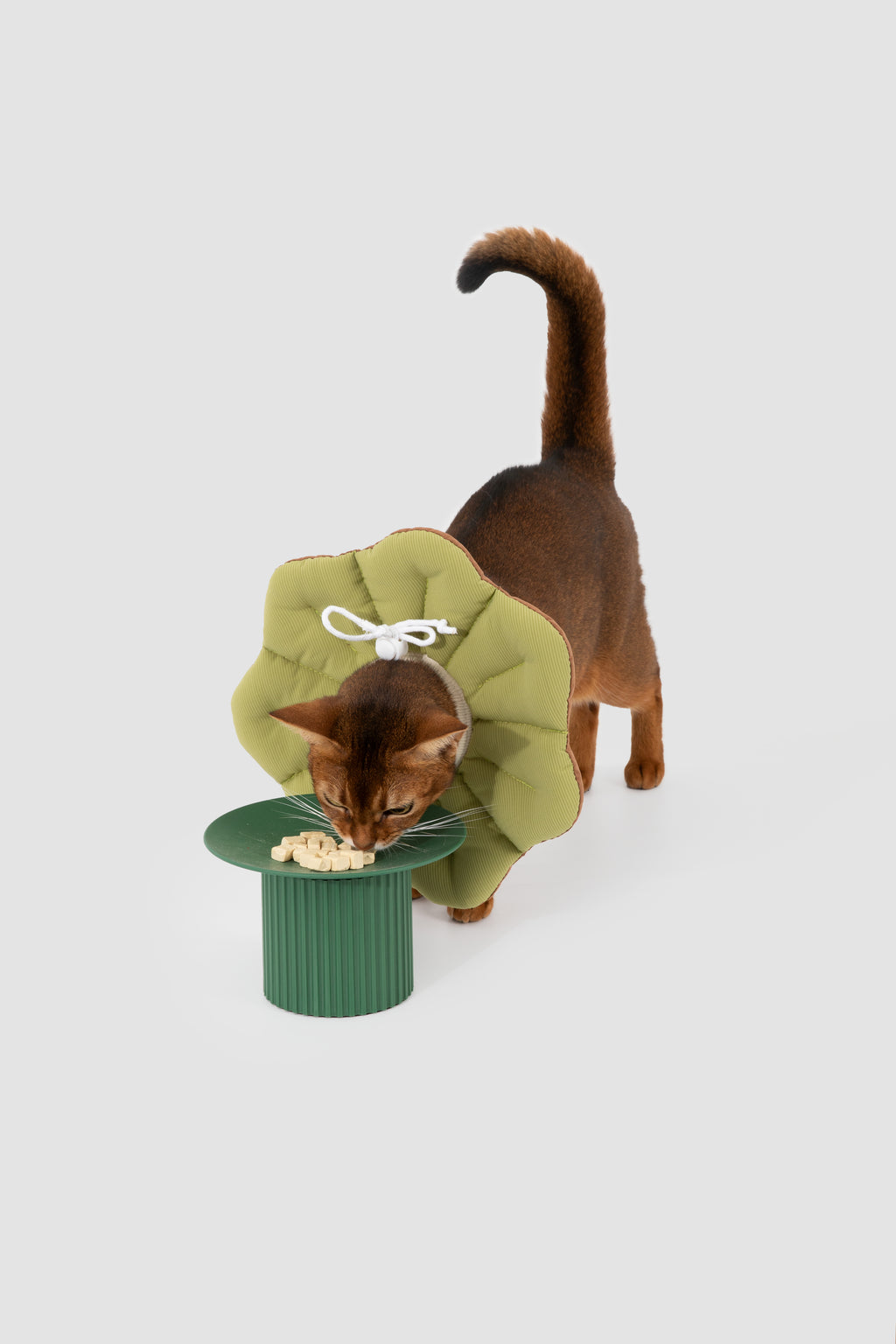 Petal Pet Elizabethan Collar