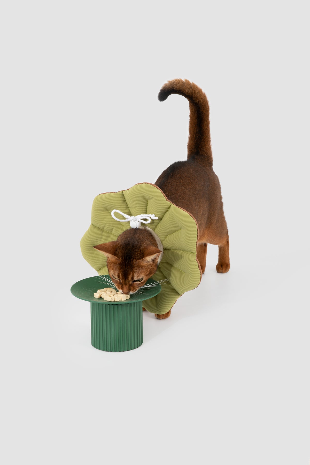 Petal Pet Elizabethan Collar