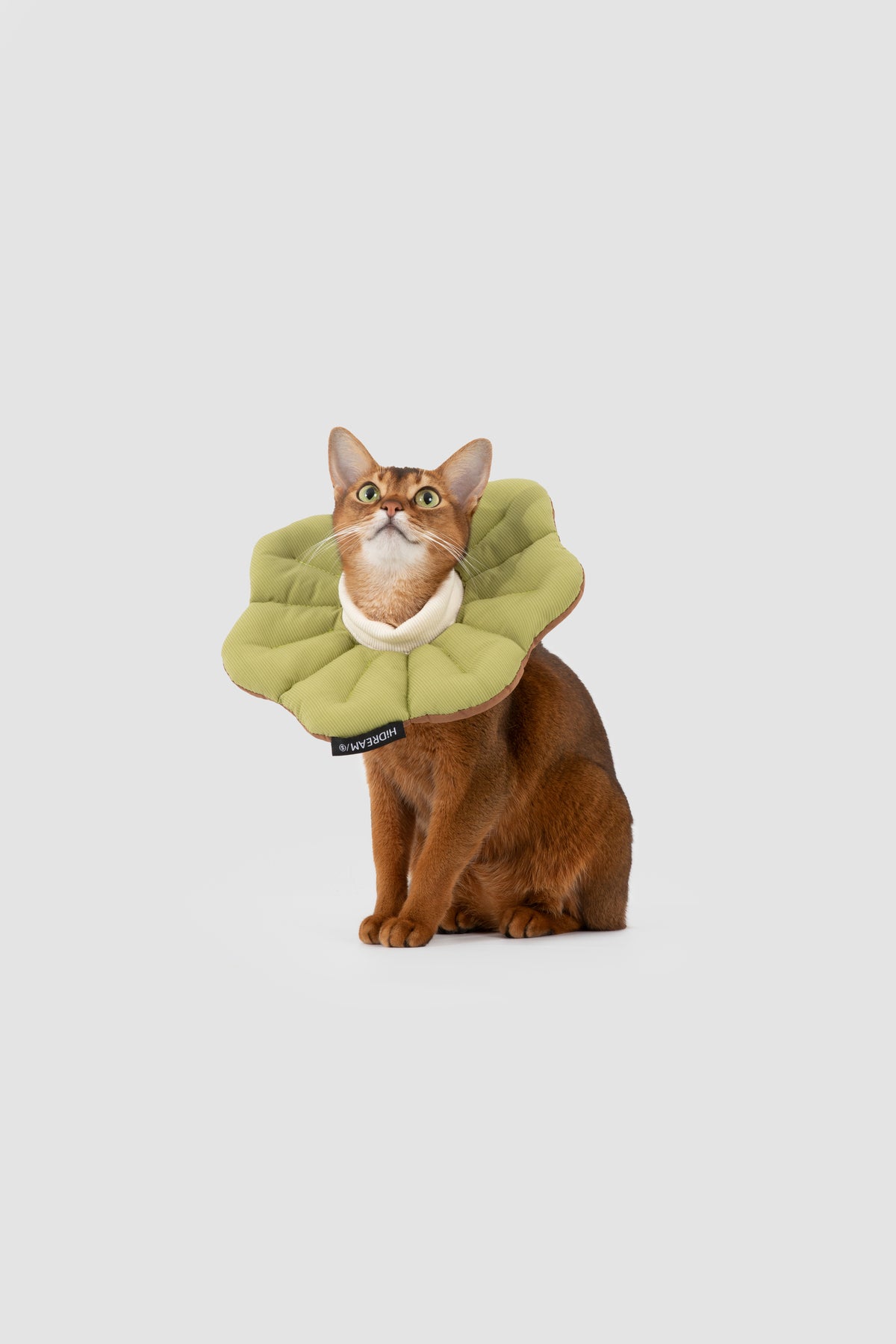 Petal Pet Elizabethan Collar