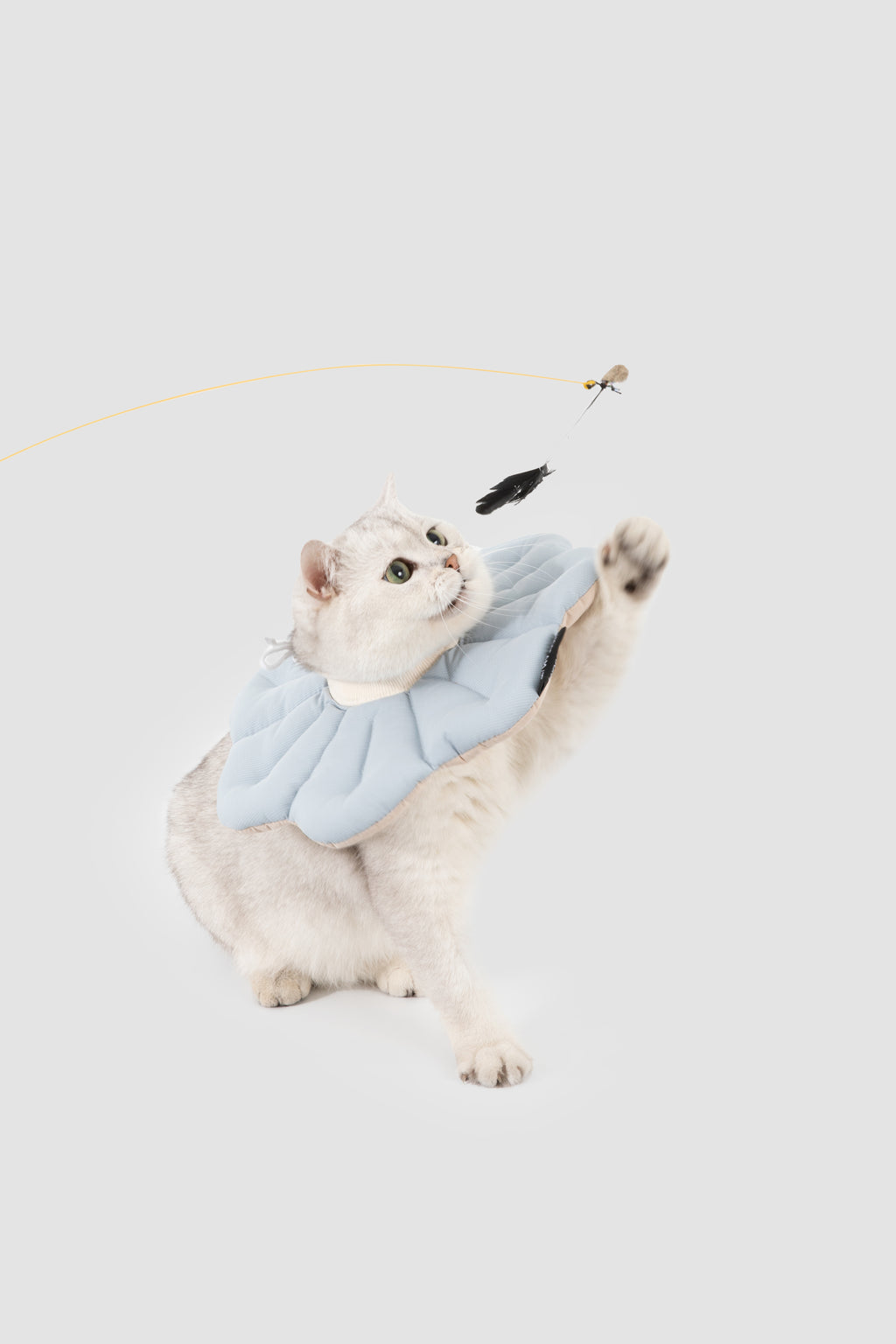 Petal Pet Elizabethan Collar