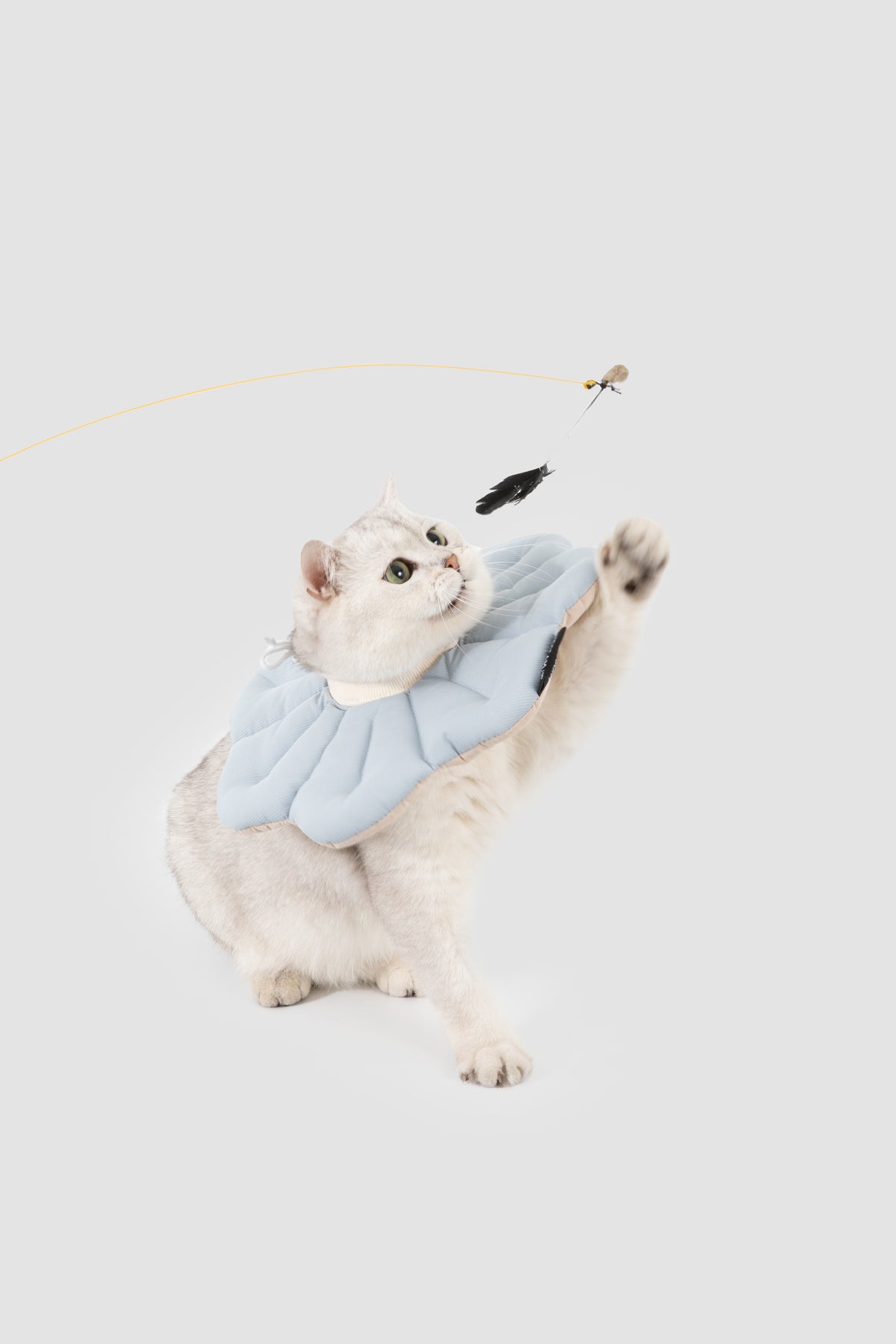 Petal Pet Elizabethan Collar