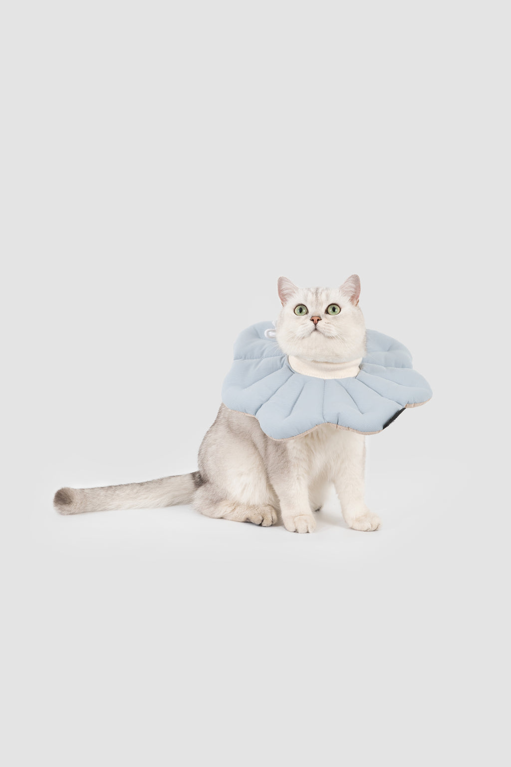Petal Pet Elizabethan Collar