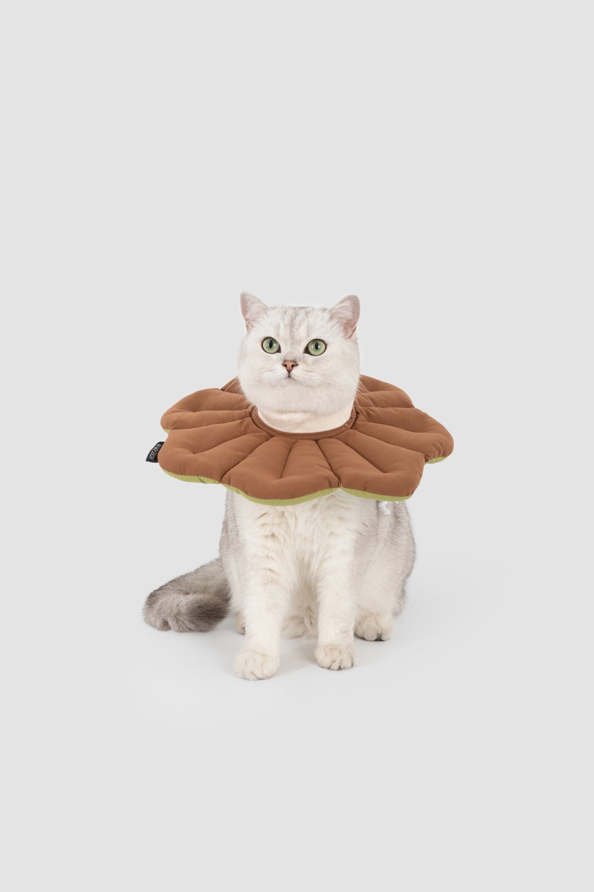 Petal Pet Elizabethan Collar