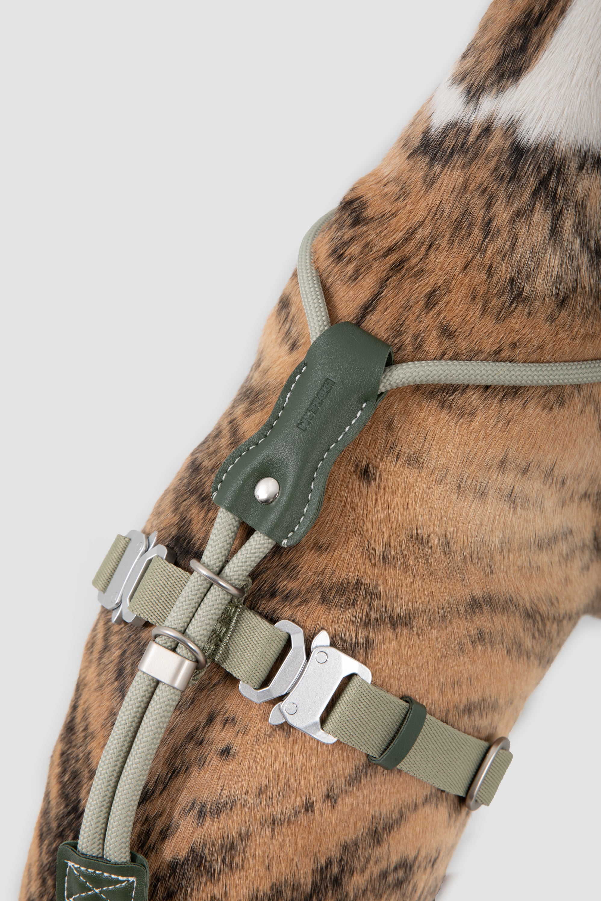 Leather Round Rope Dog Harness