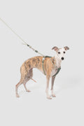 Leather Round Rope Dog Harness