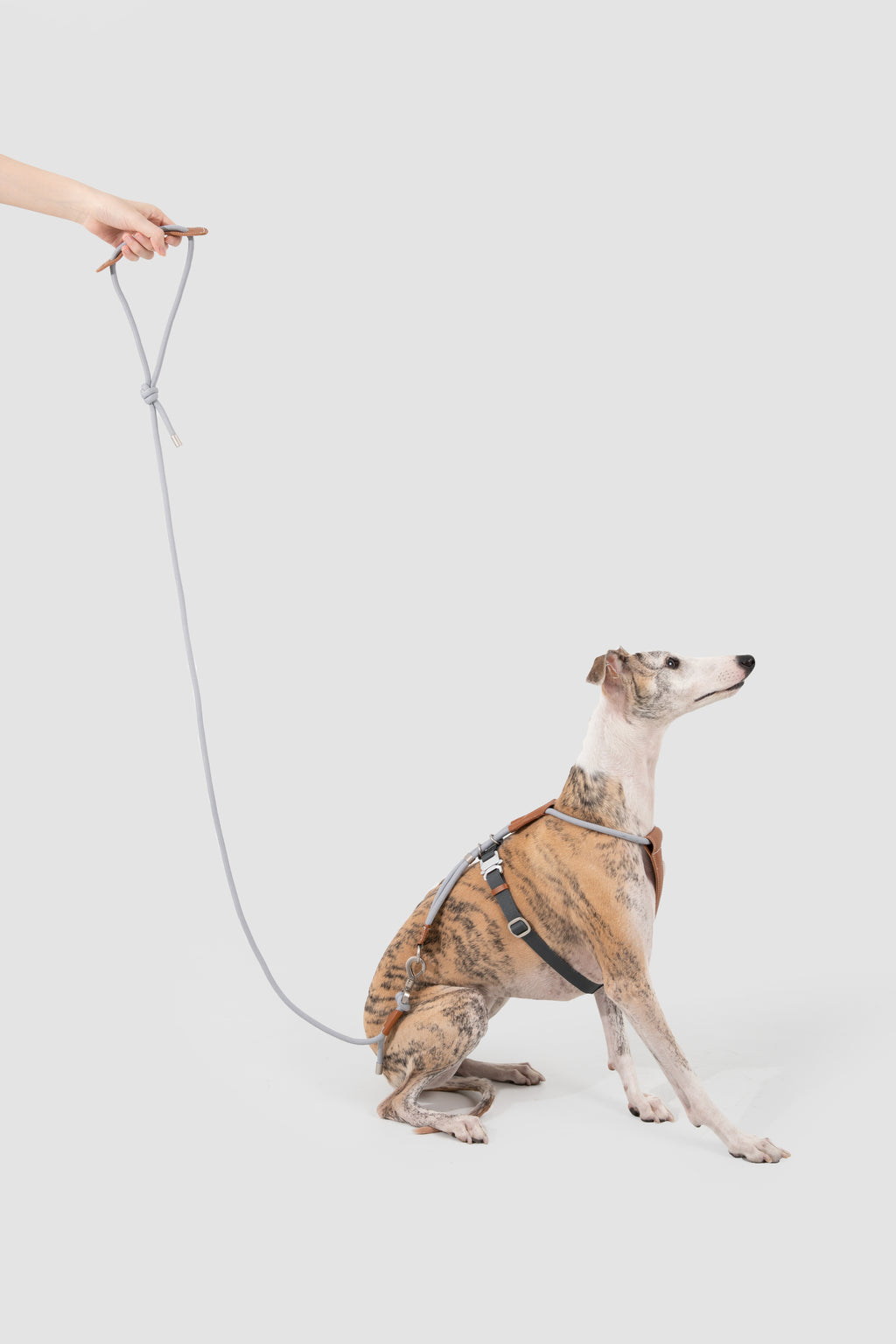 Leather Round Rope Dog Leash