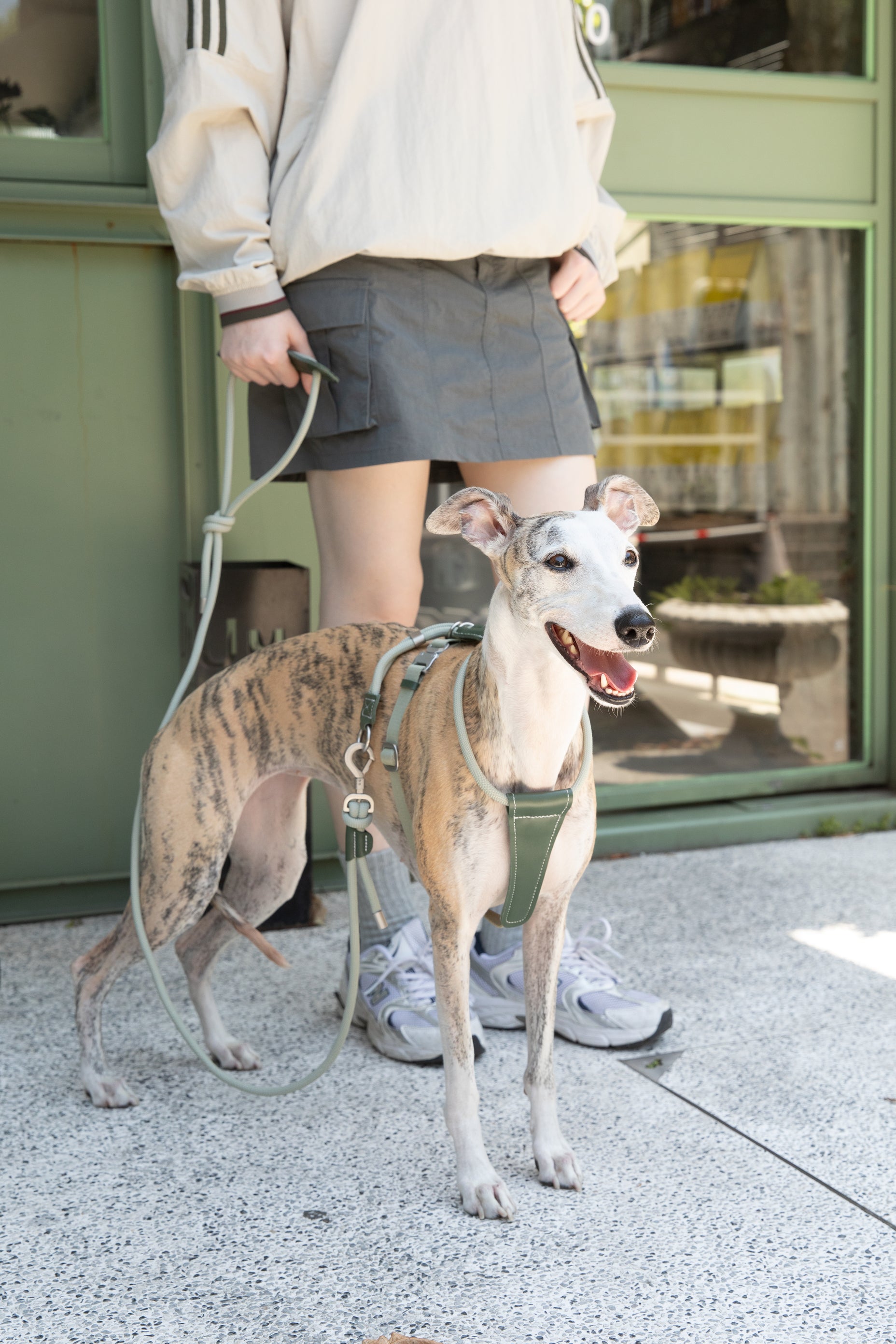 Leather Round Rope Dog Leash