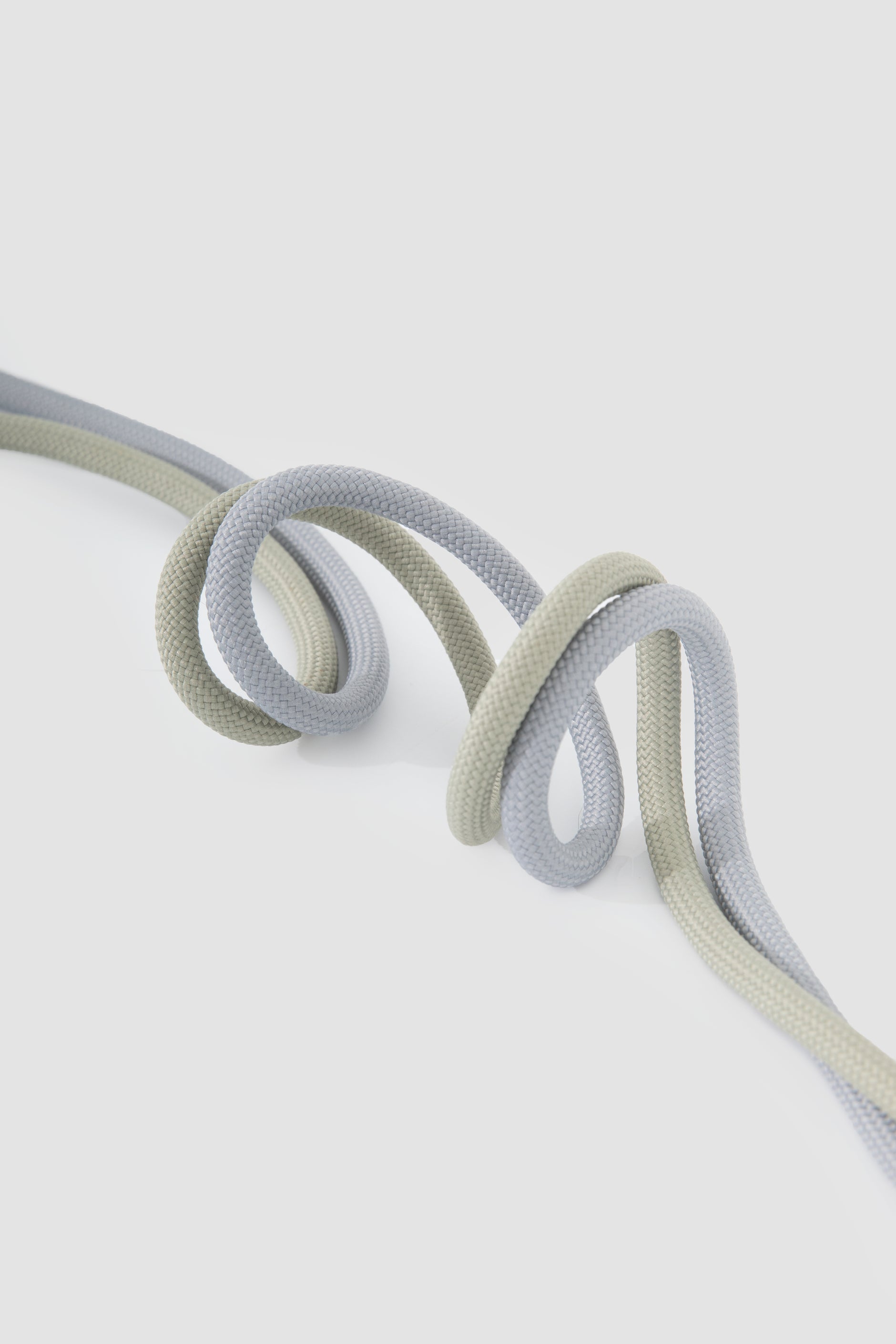 Leather Round Rope Dog Leash