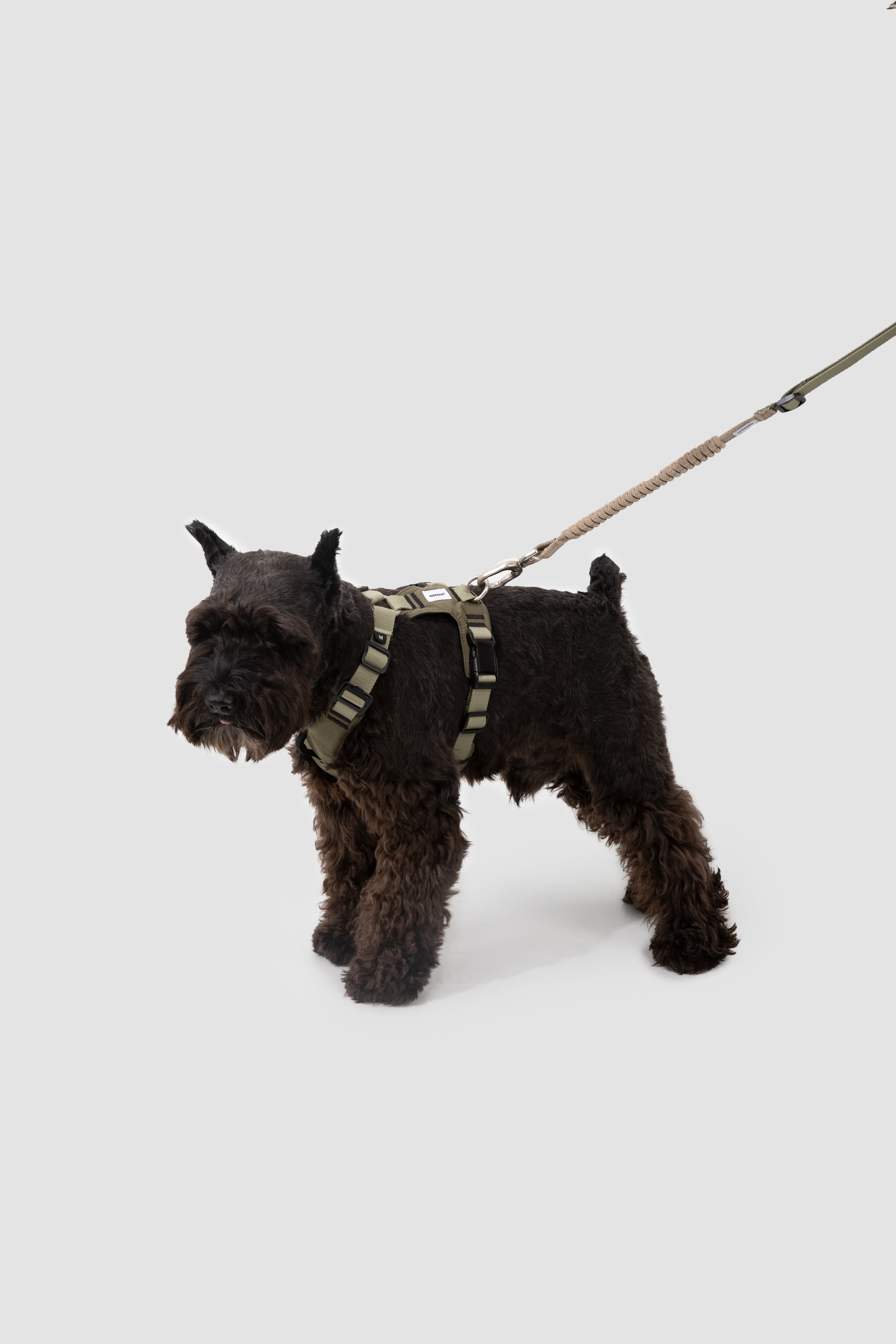 Decompression Sports Dog Harness