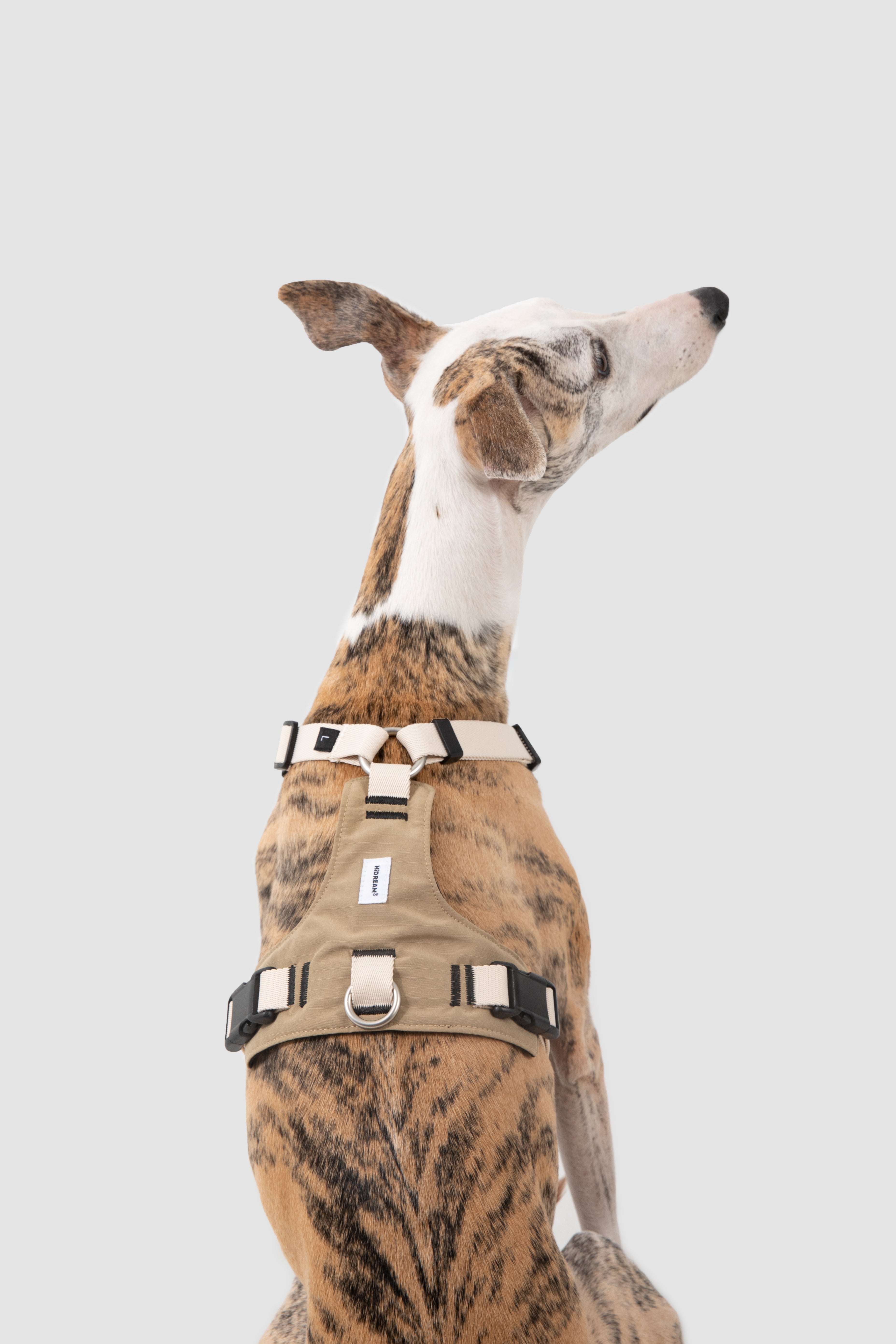 Decompression Sports Dog Harness