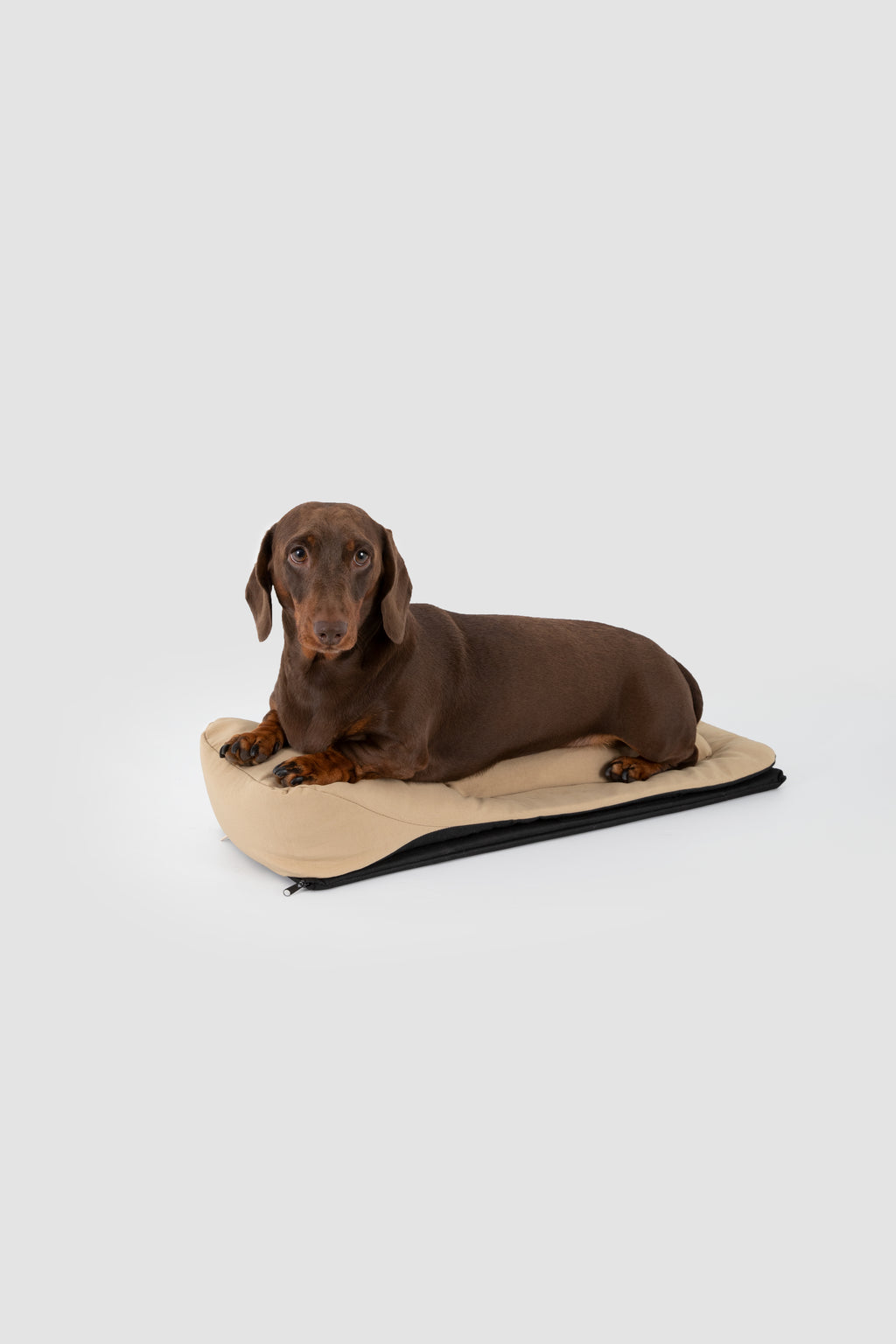 Baguette Pet Travel Shoulder Bag - Exclusive Dachshund Editon