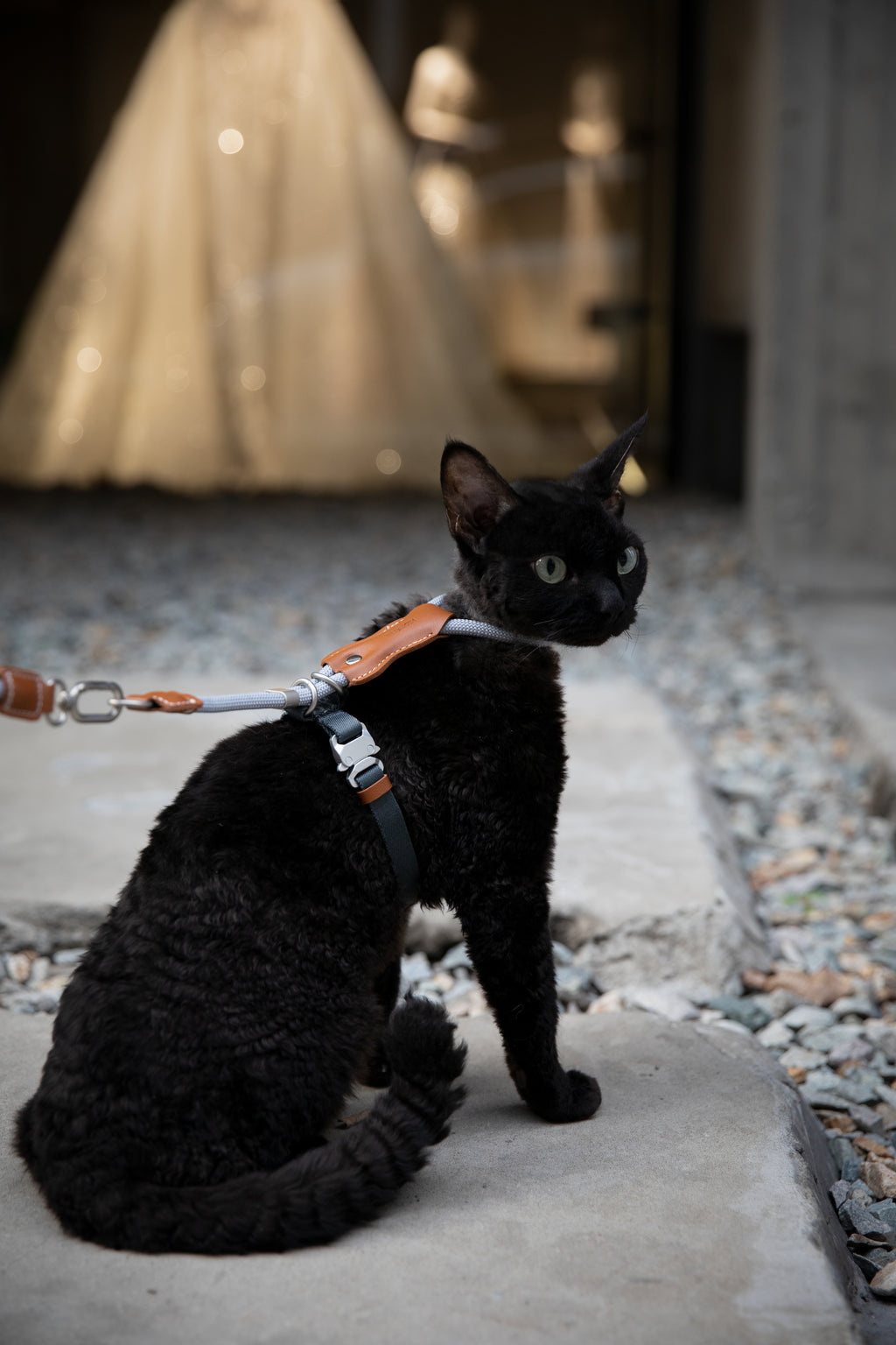 Leather Round Rope Cat Harness & Leash Set