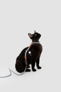 Leather Round Rope Cat Harness & Leash Set