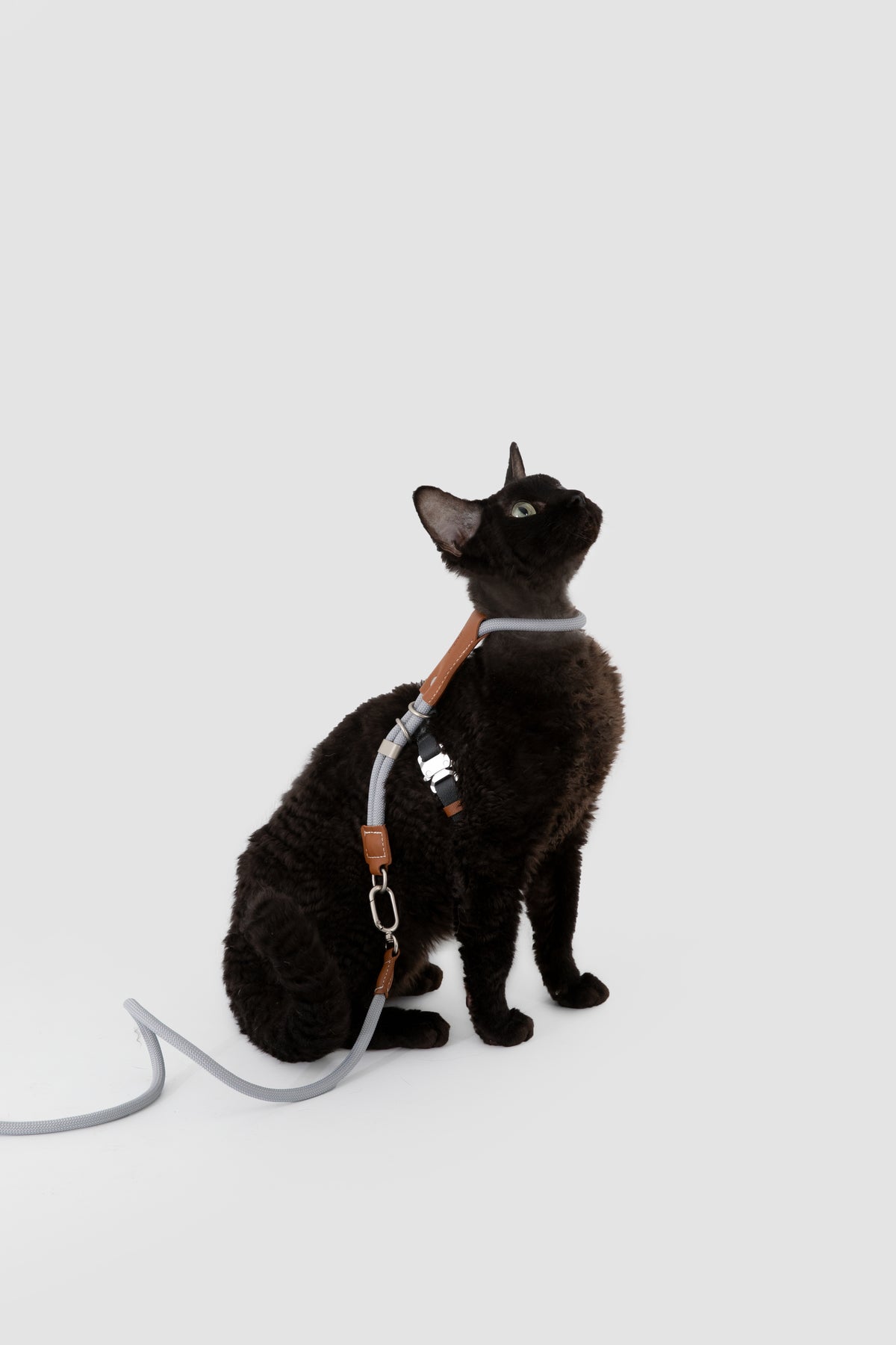 Leather Round Rope Cat Harness & Leash Set