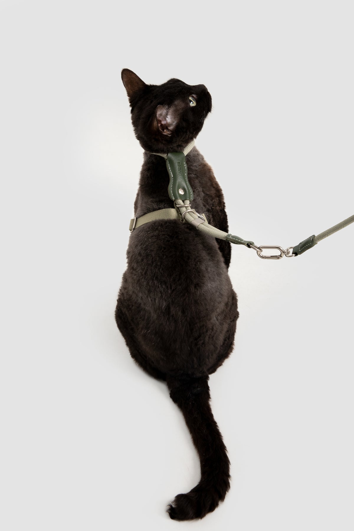 Leather Round Rope Cat Harness & Leash Set
