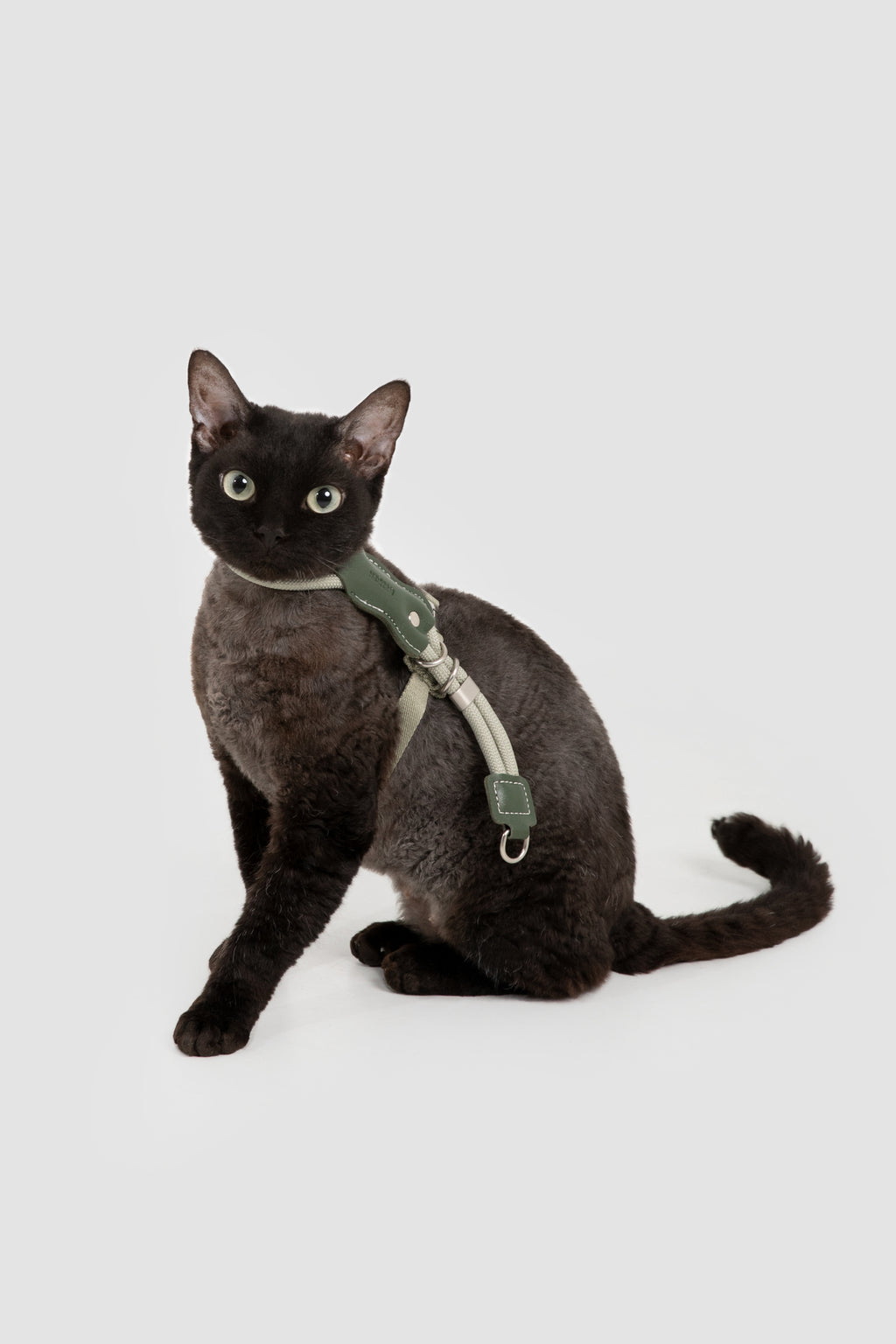 Leather Round Rope Cat Harness & Leash Set