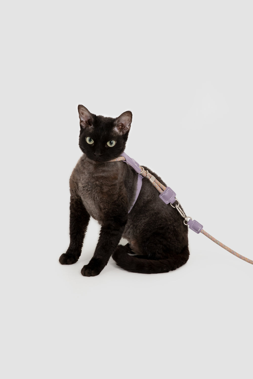 Leather Round Rope Cat Harness & Leash Set