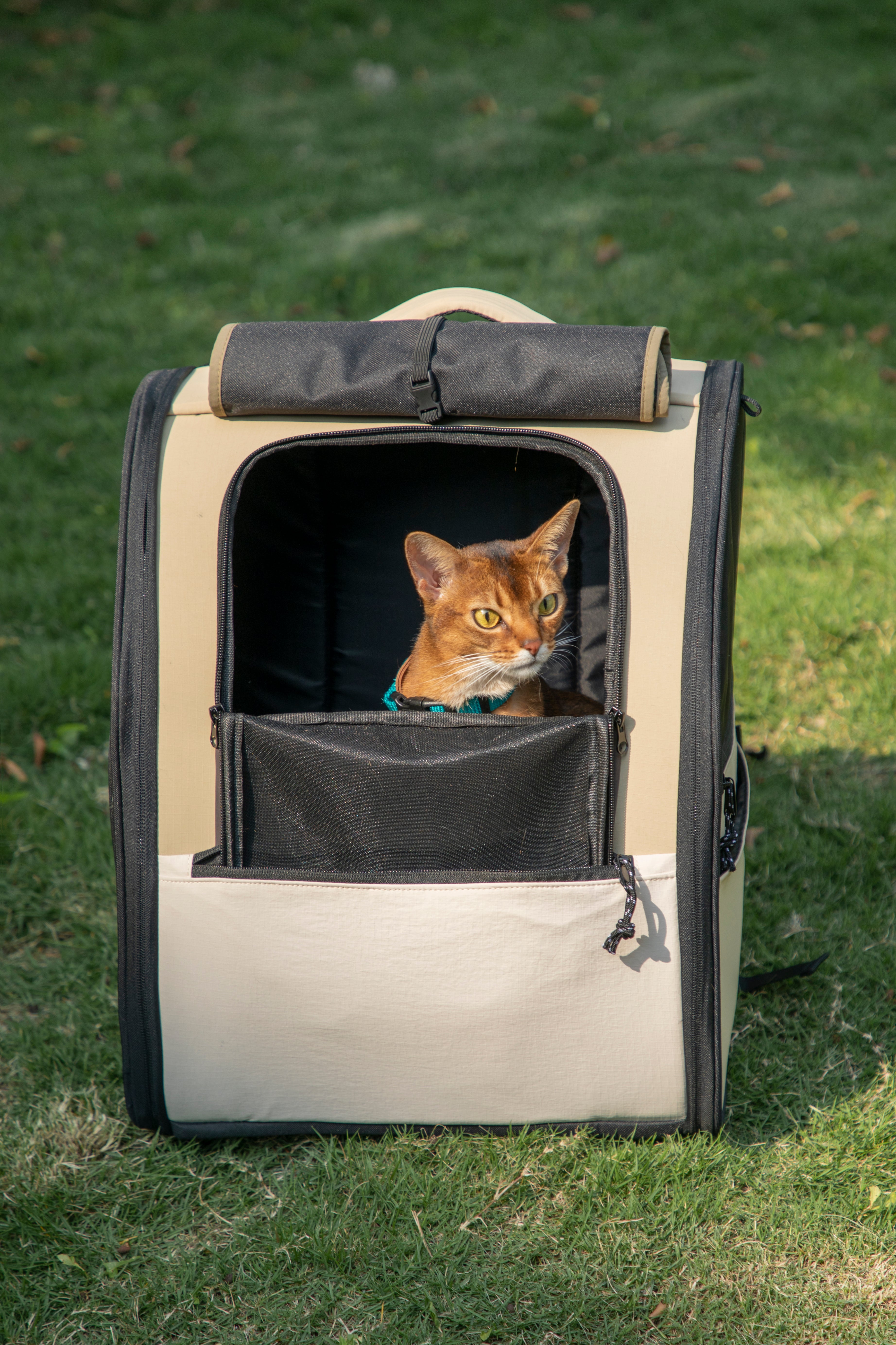 First Class Travel Cat Backpack Carrier (Chestnut Brown and Ebony Black)