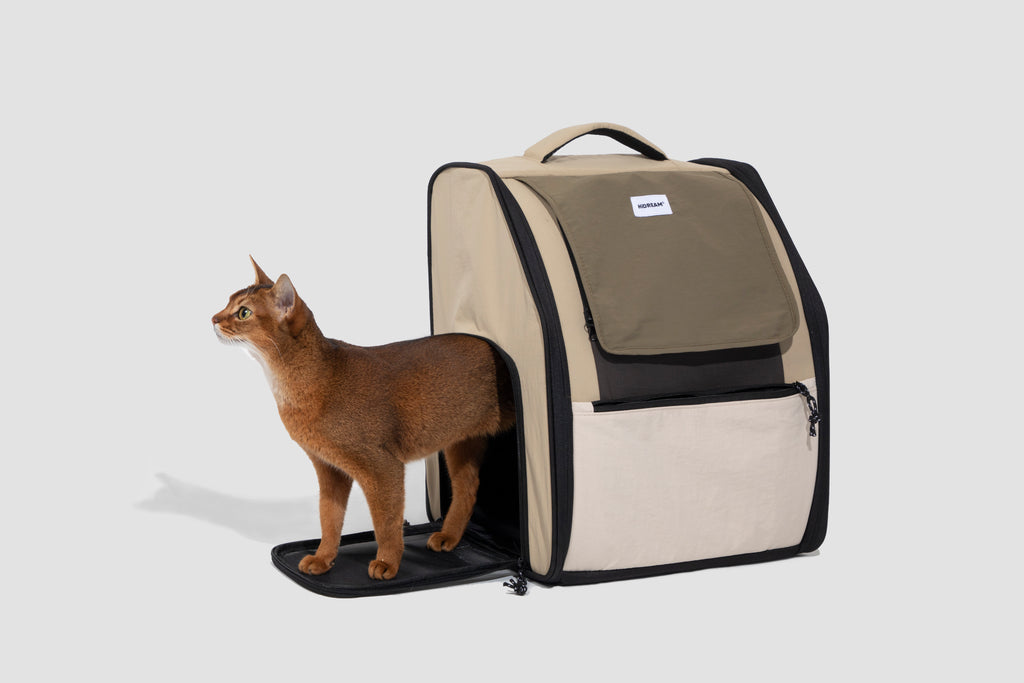 First Class Travel Cat Backpack Carrier (Chestnut Brown and Ebony Black)