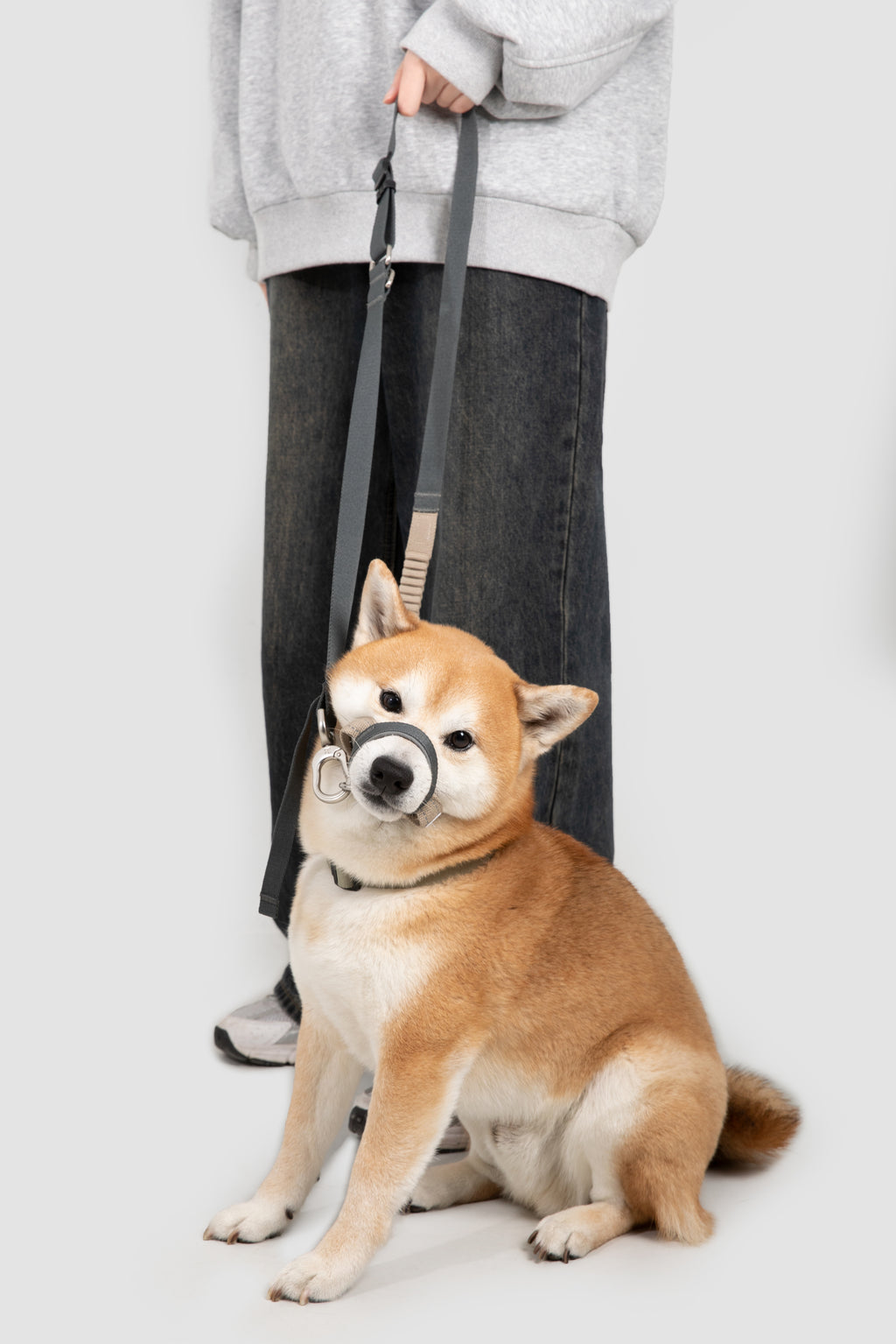 Valley Series – Multi-Functional Training Dog Muzzle