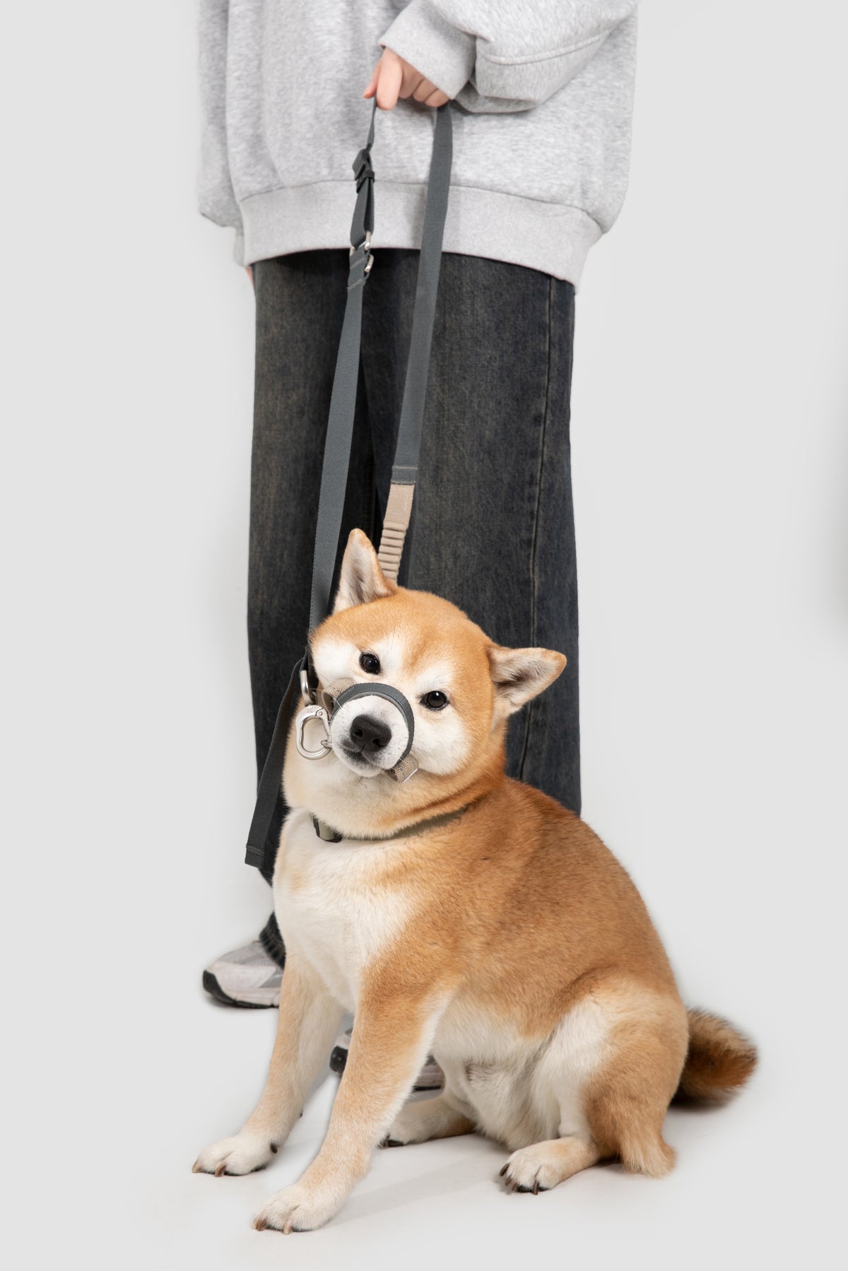 Valley Series – Multi-Functional Training Dog Muzzle