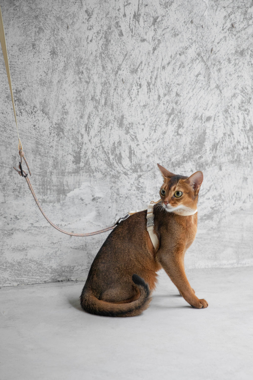 Free Exploration Cat Harness & Leash Set
