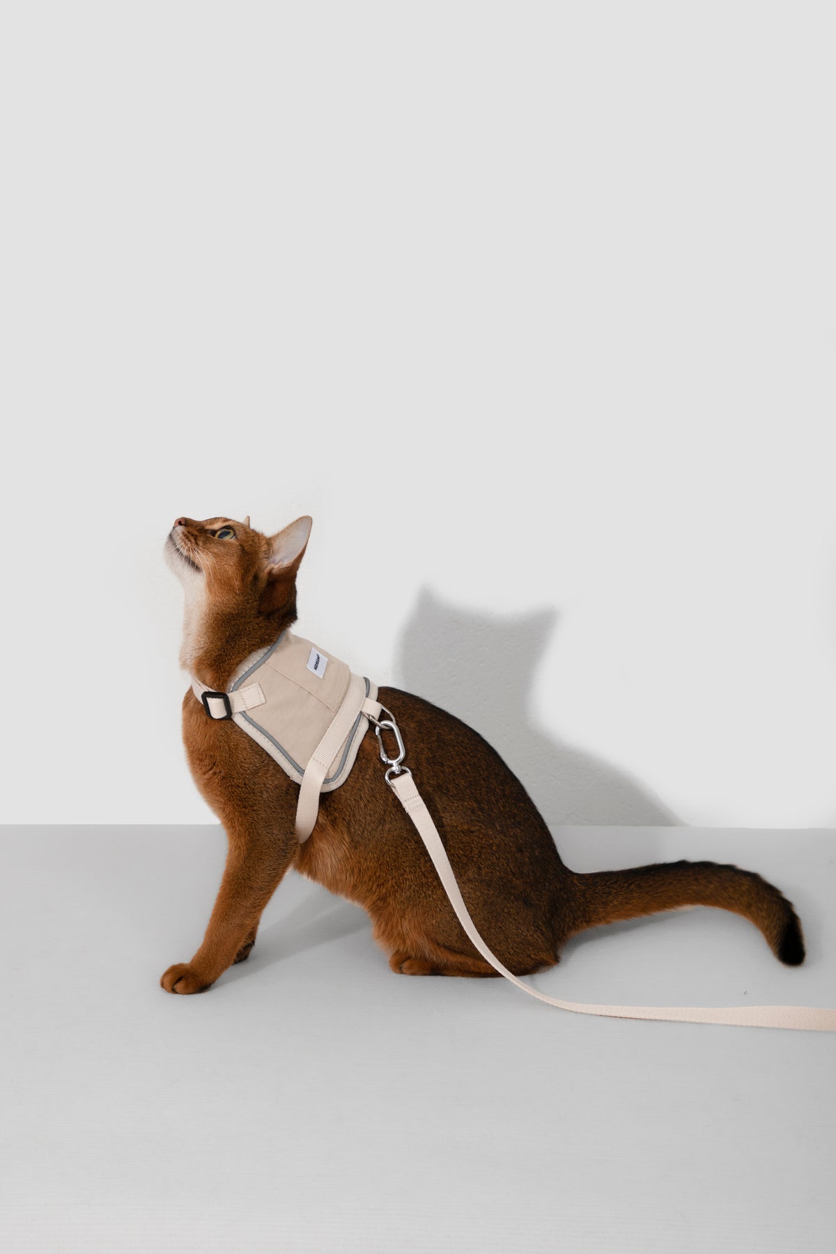 Valley Small Vest Cat Harness & Leash Set