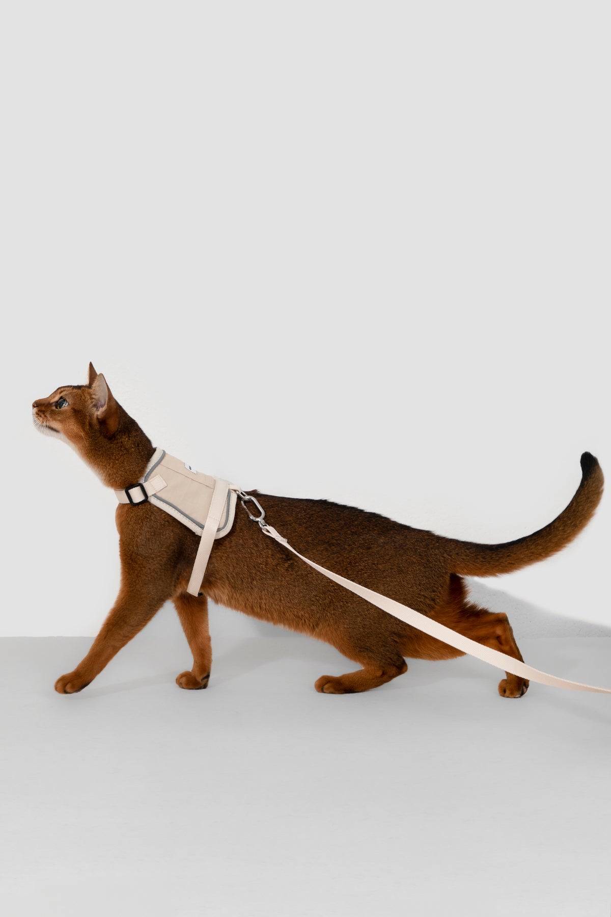 Valley Small Vest Cat Harness & Leash Set