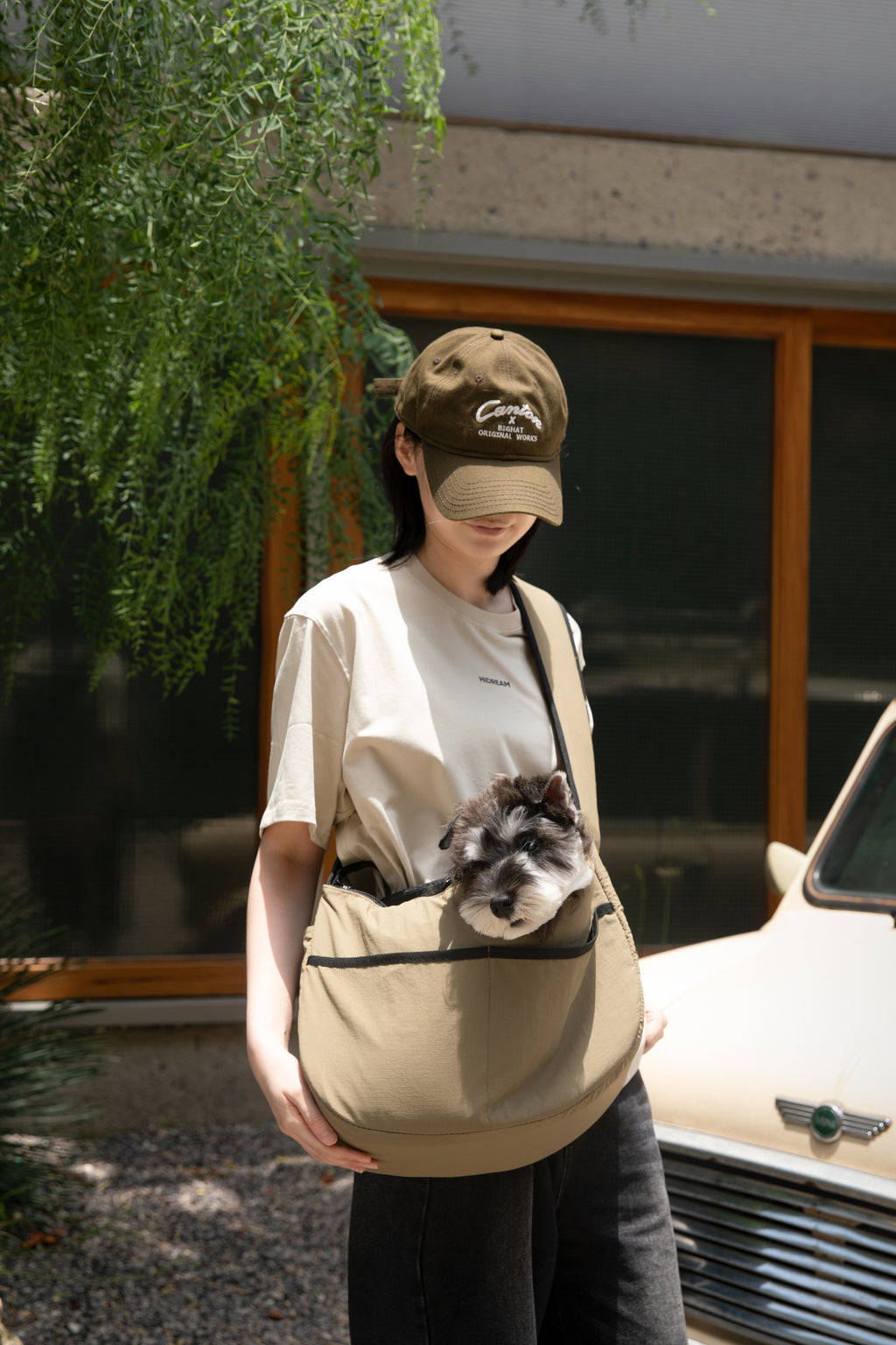Mountain Style Pet Tote Crossbody Bag