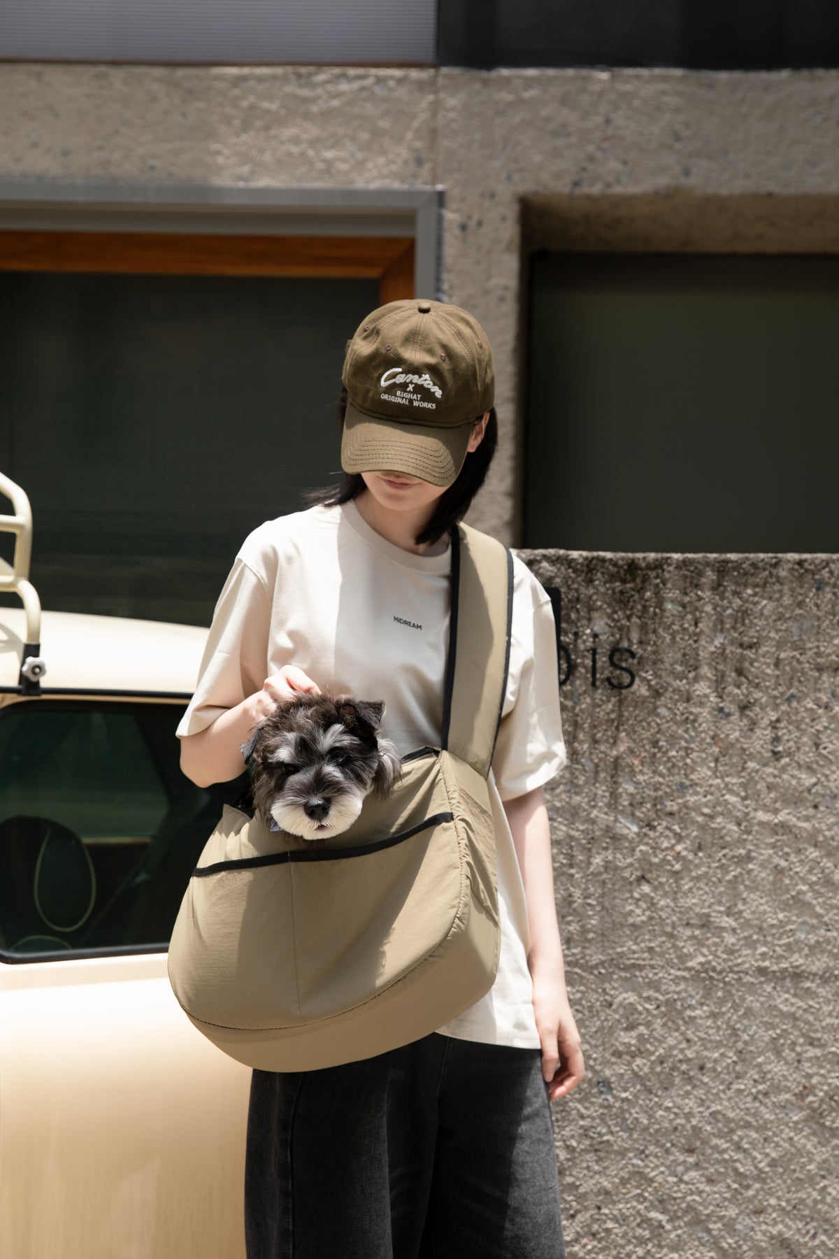 Mountain Style Pet Tote Crossbody Bag